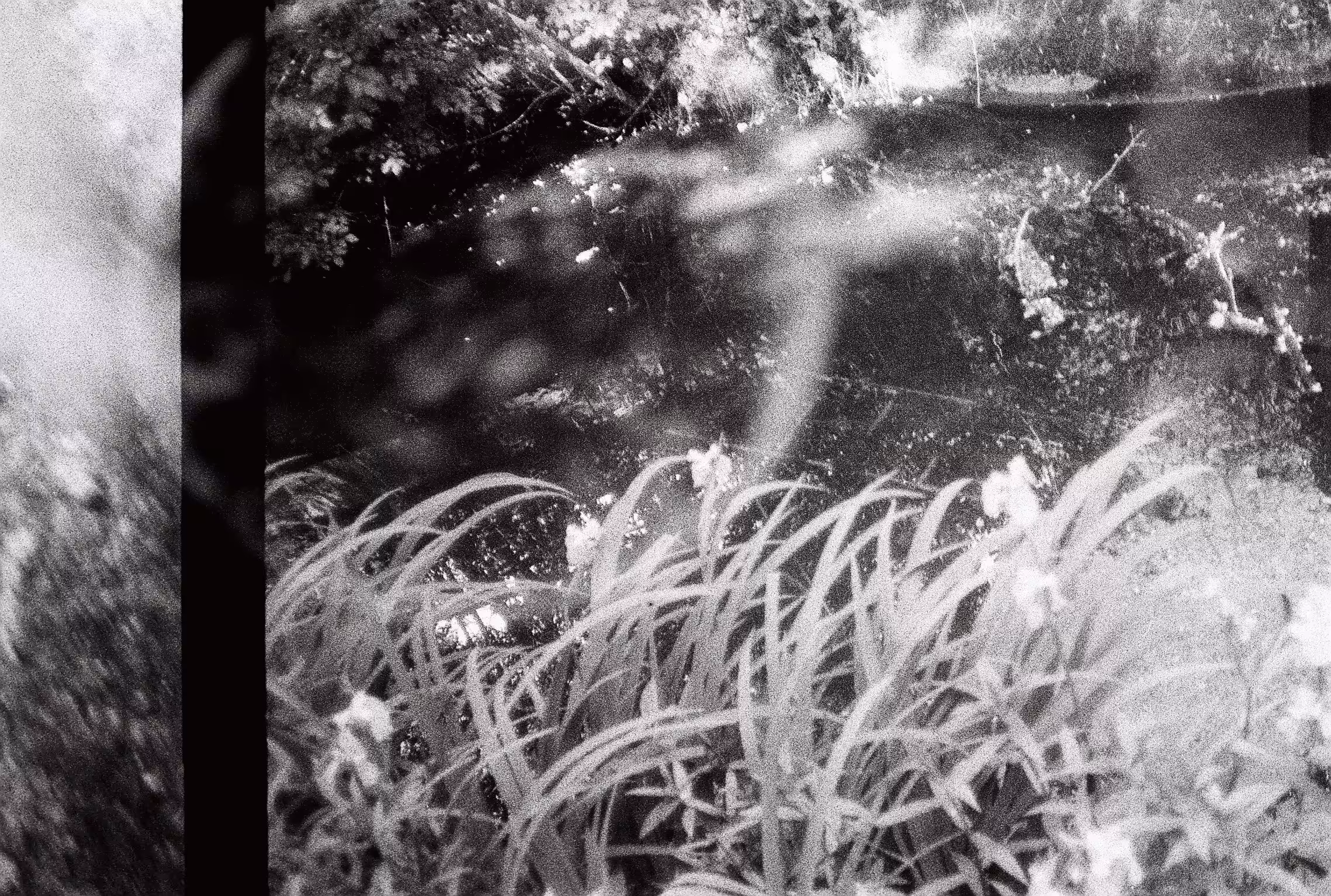 Round grass