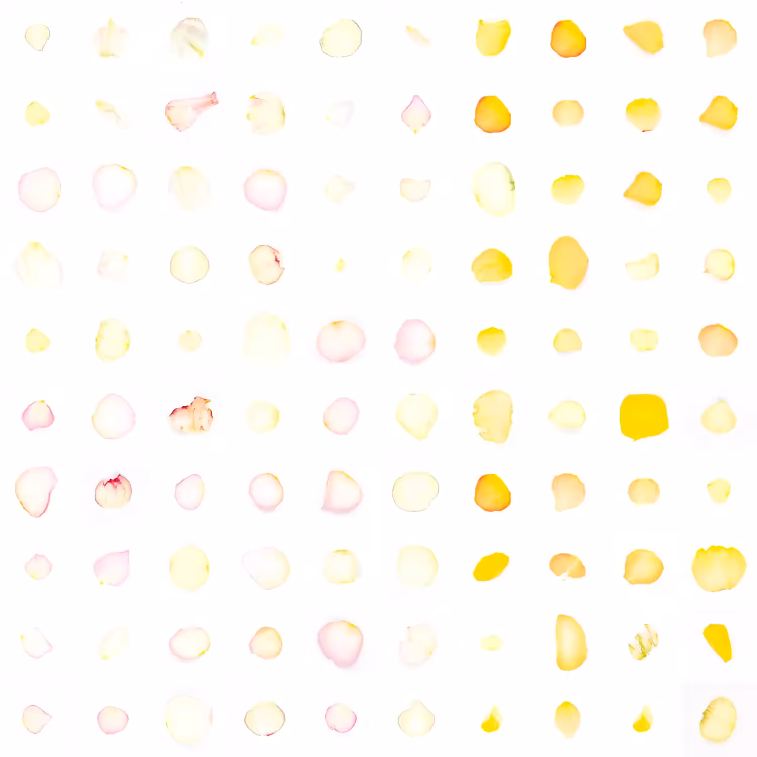 Infinite Petals 10x10#302