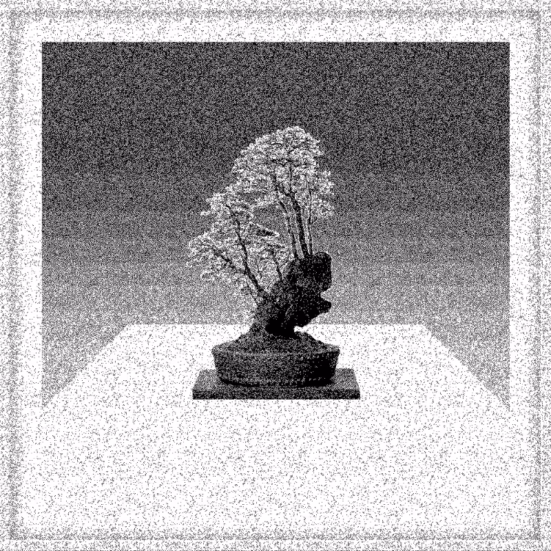 Bonsai Bonanza #58