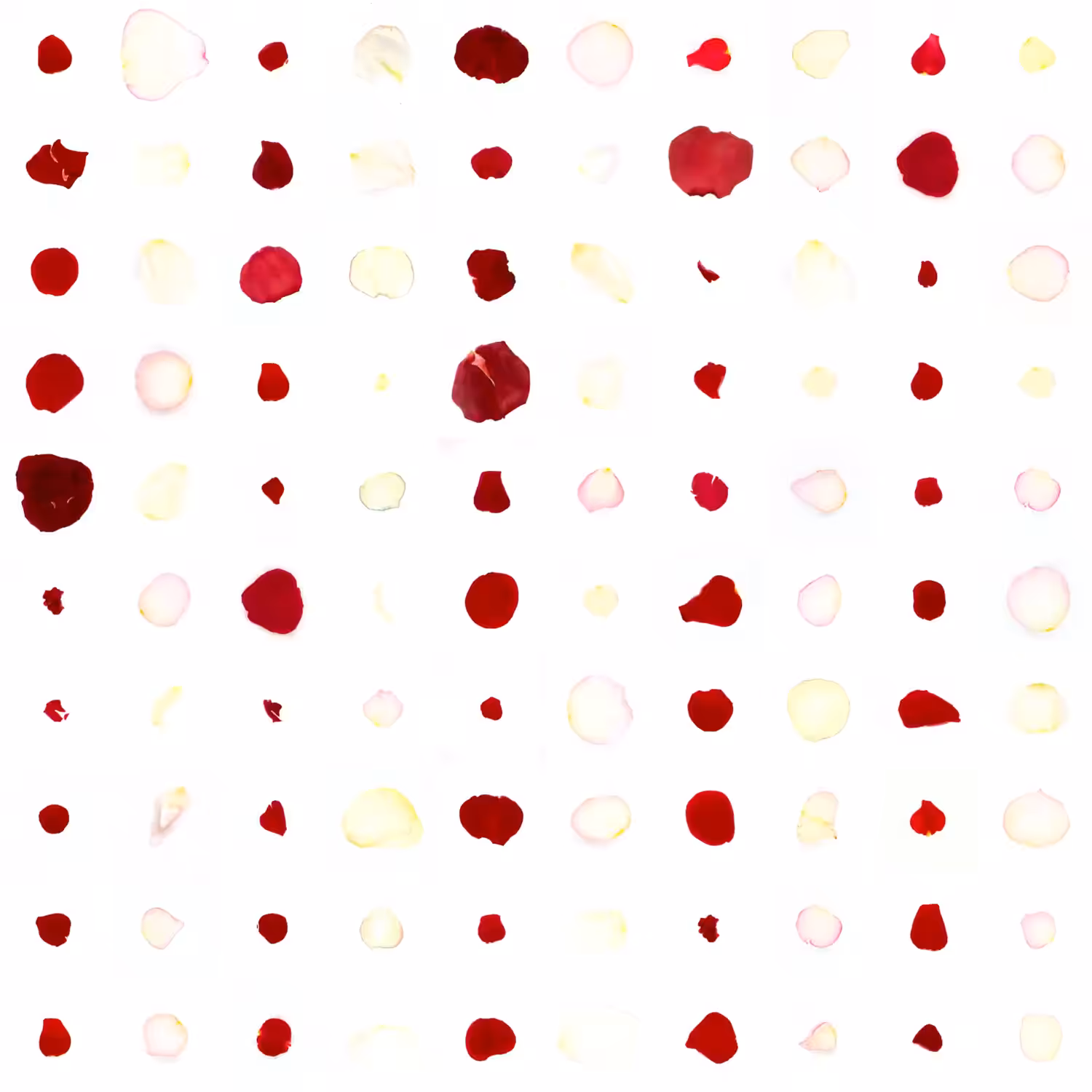 Infinite Petals 10x10#4021