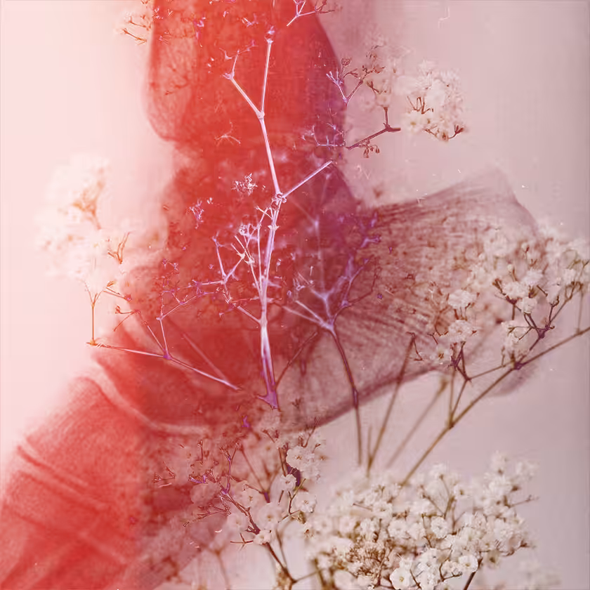 flowers and death #33