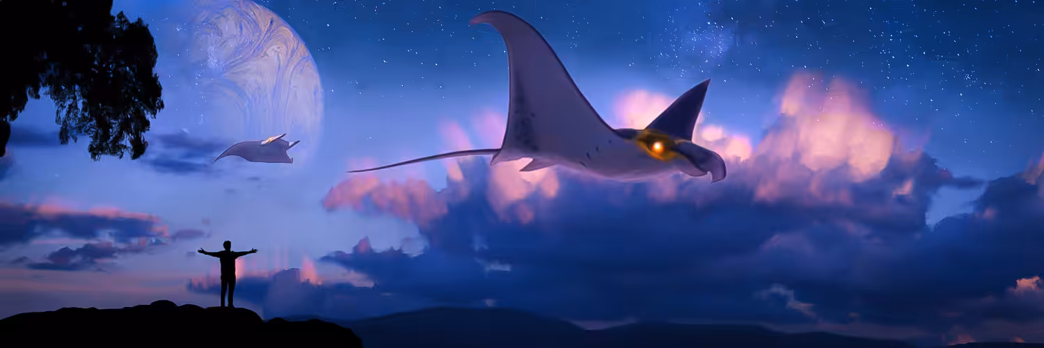 Imagination