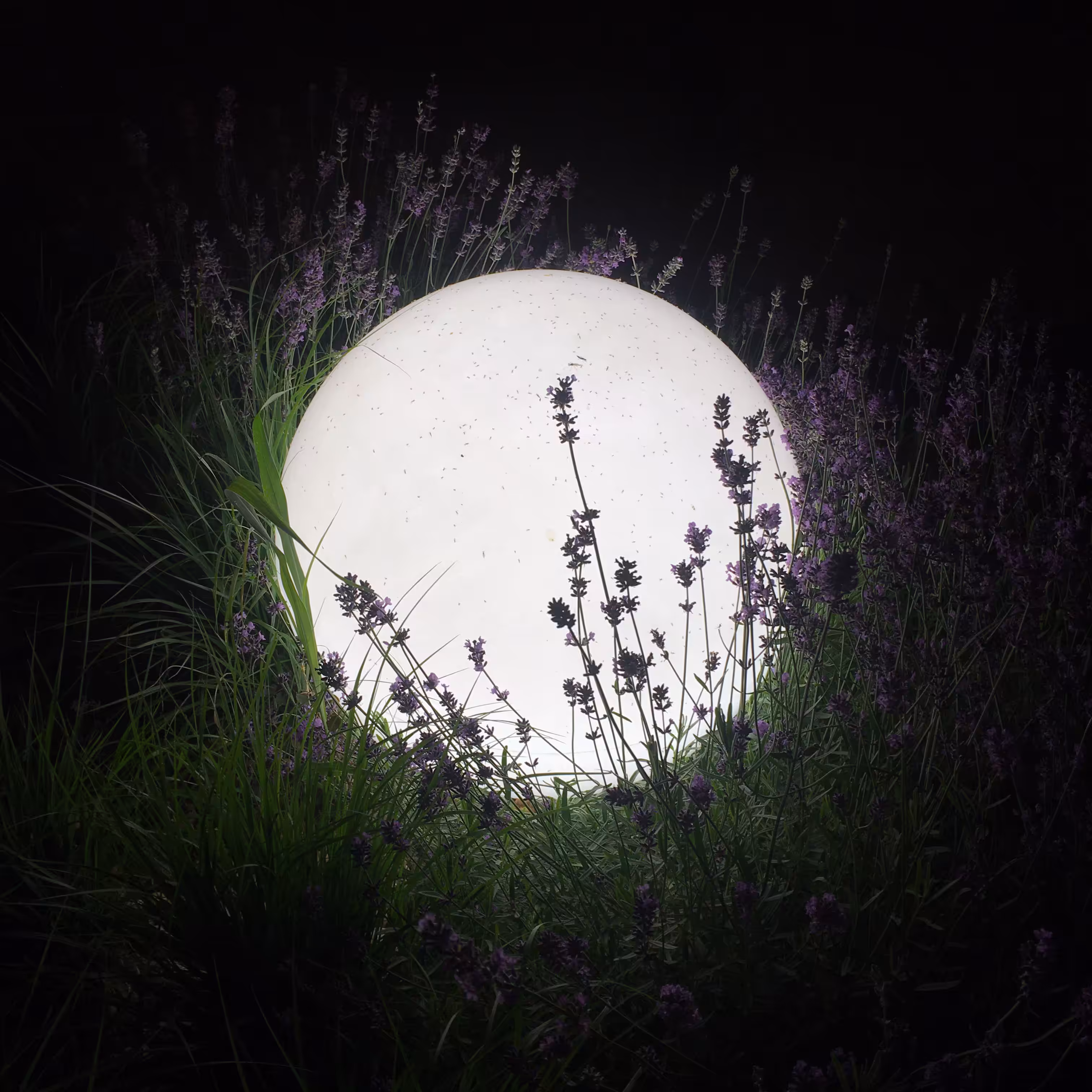 vision sphere
