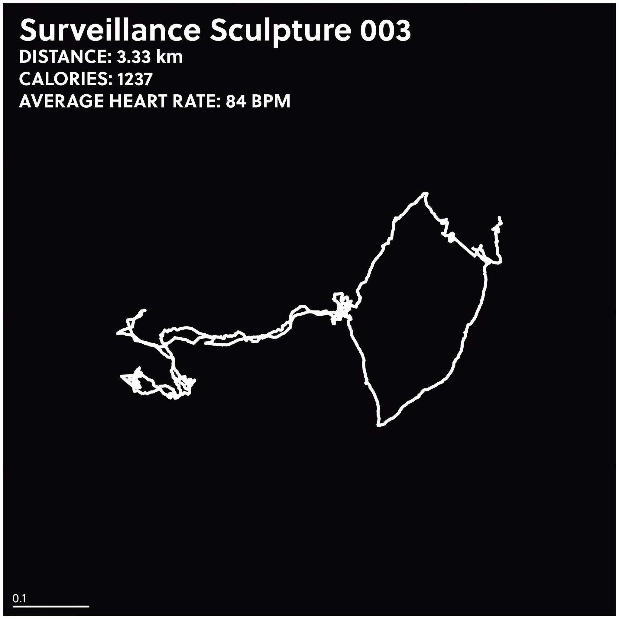Surveillance Sculpture 003