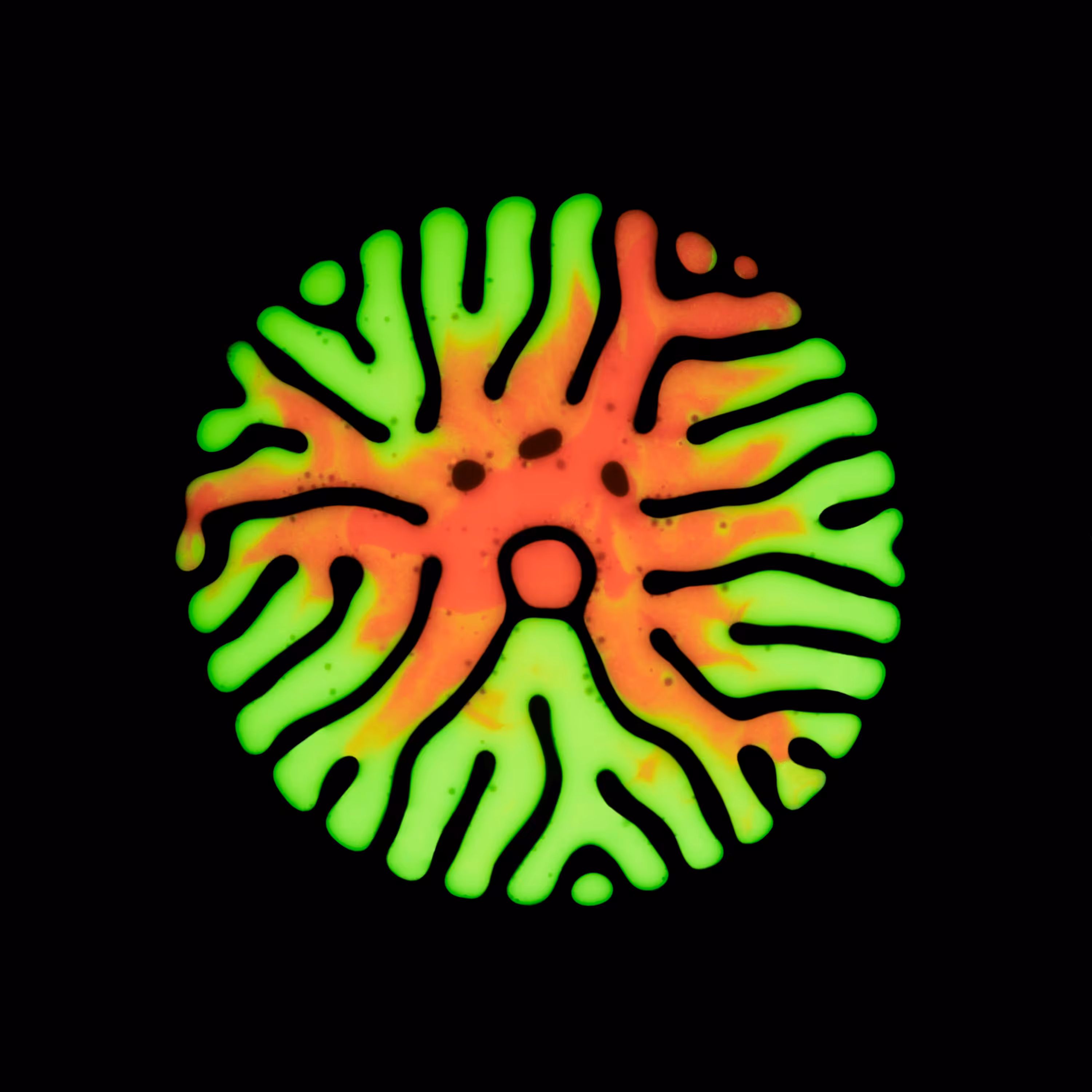 Haematopoiesis #132