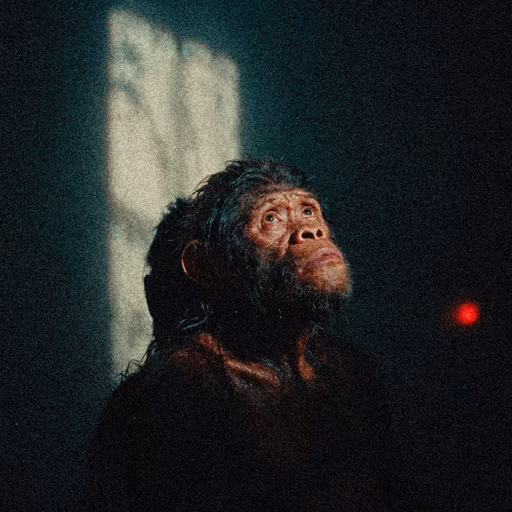 The First Gaze Toward the Light
