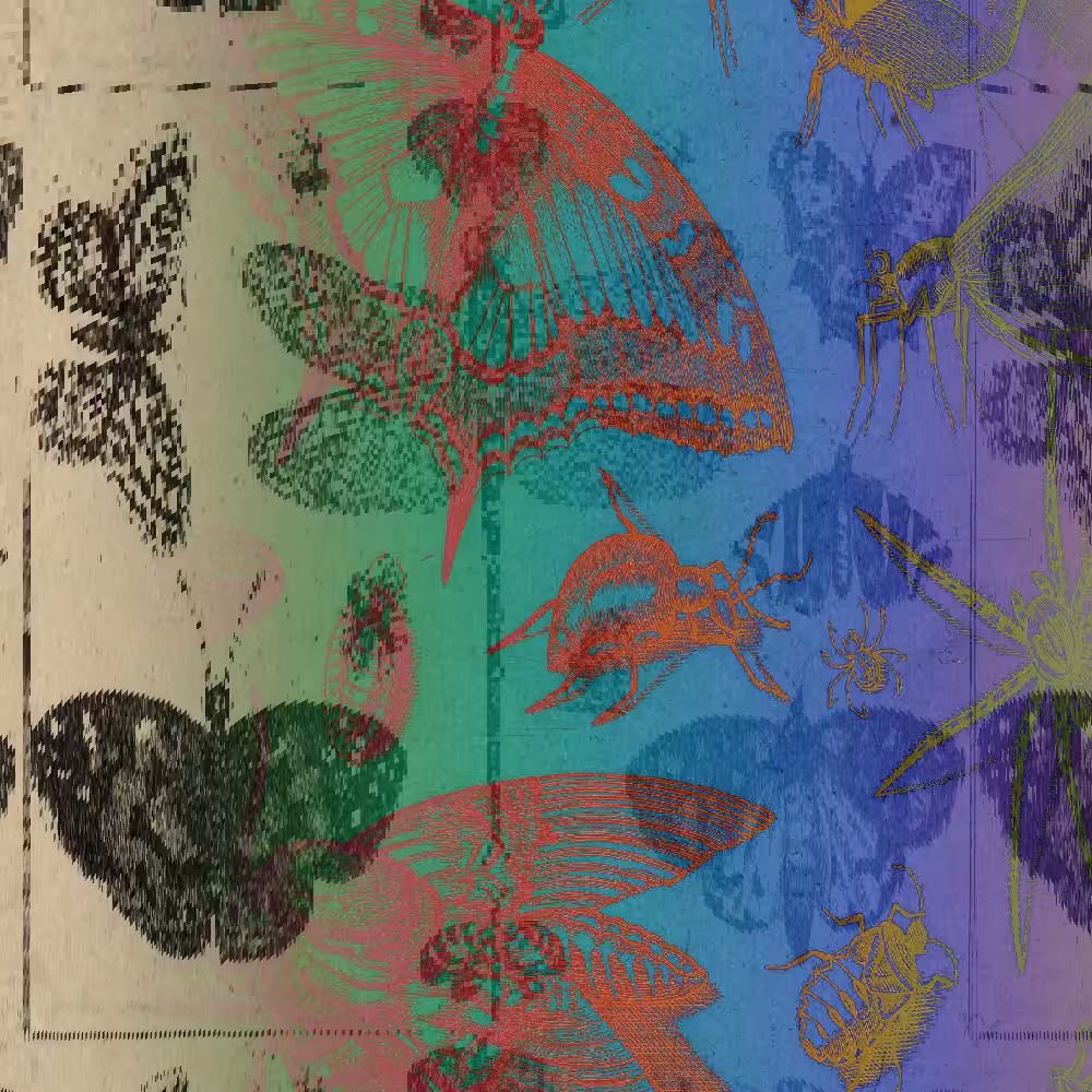 hash insects #4