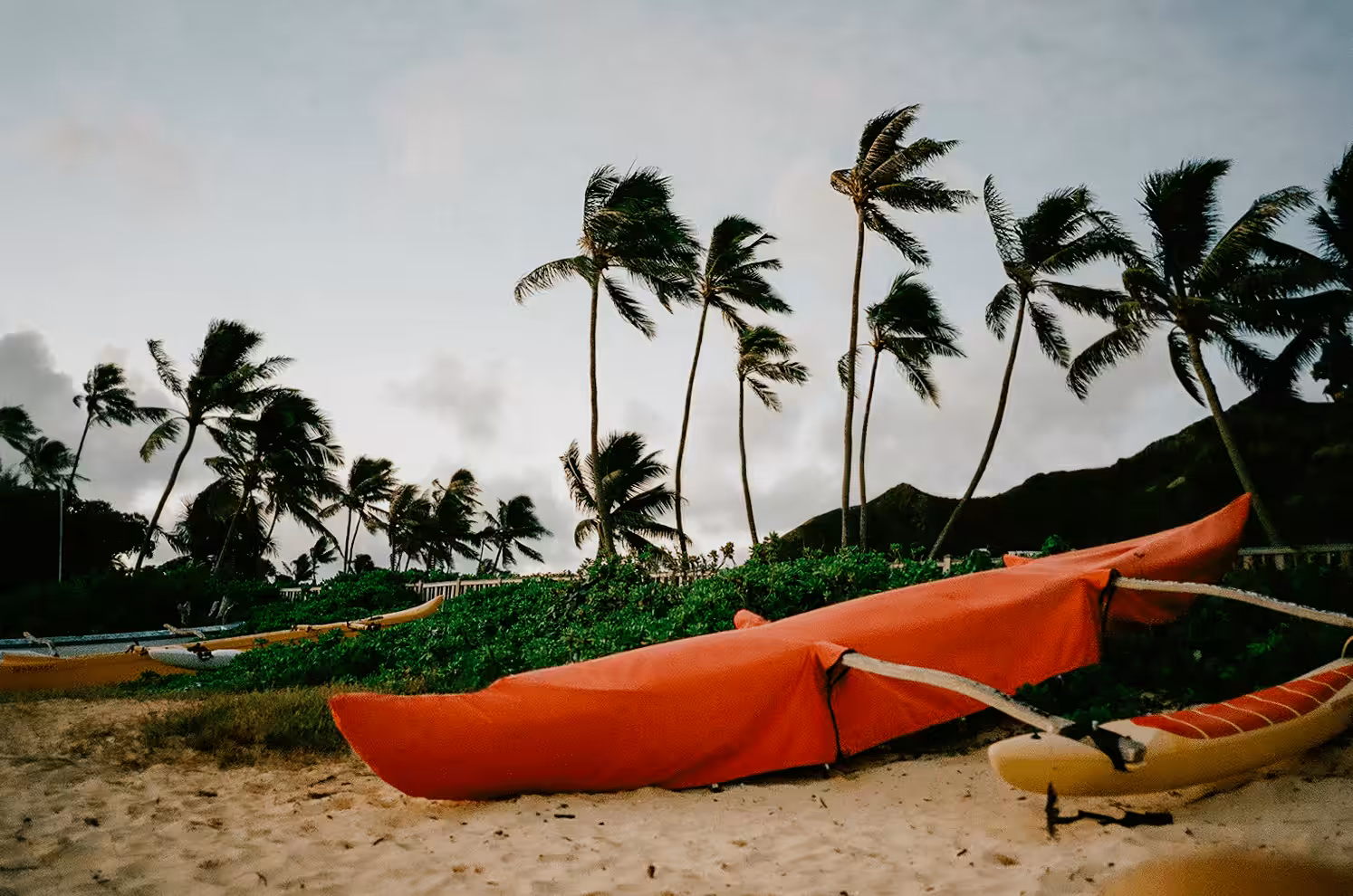Windy Kayak