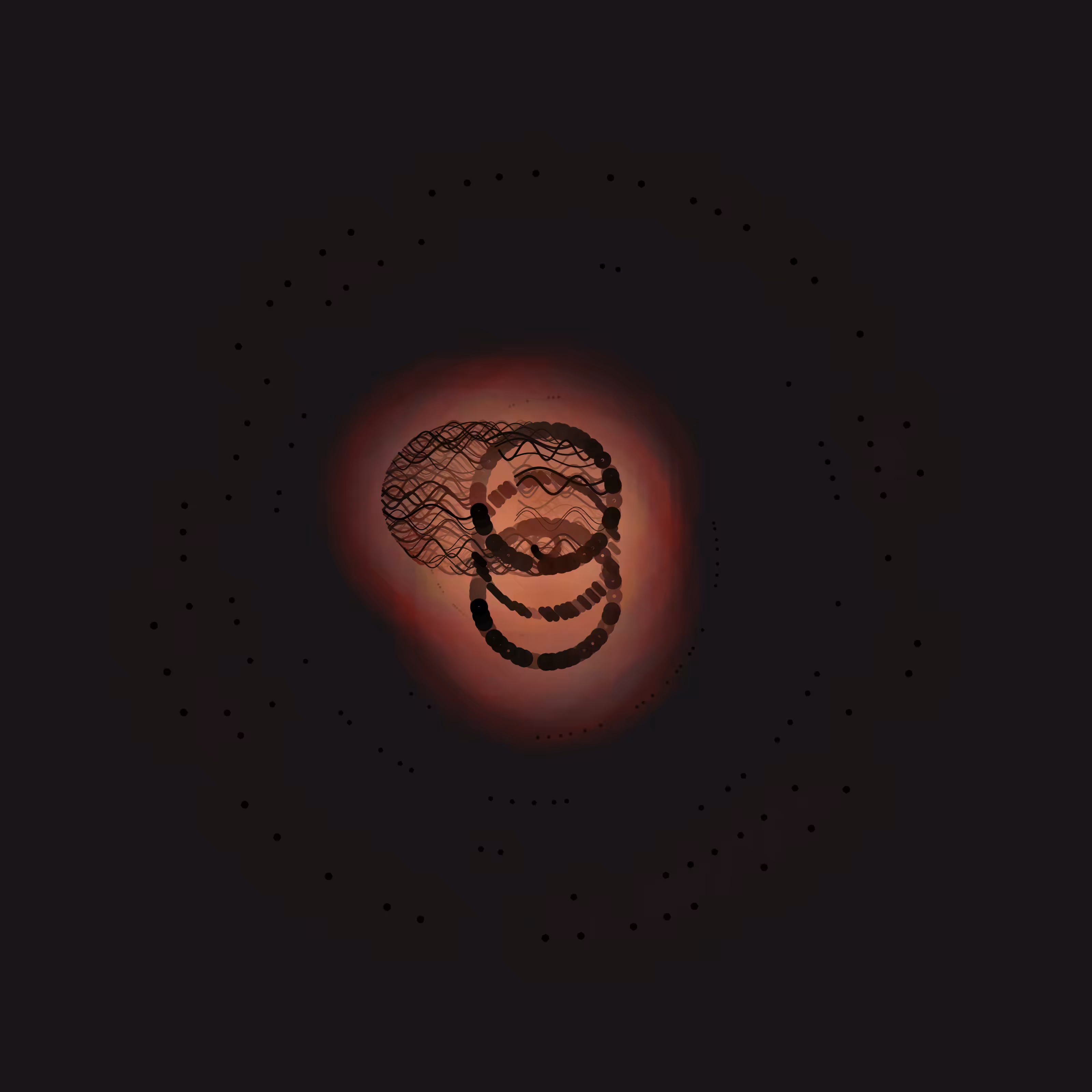 Brain