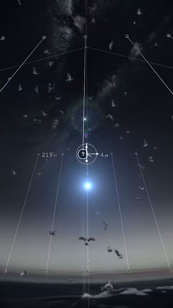 4 am 219 birds
