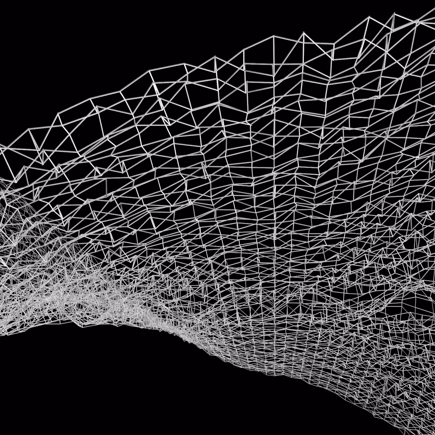 Forma Naturalis - 003