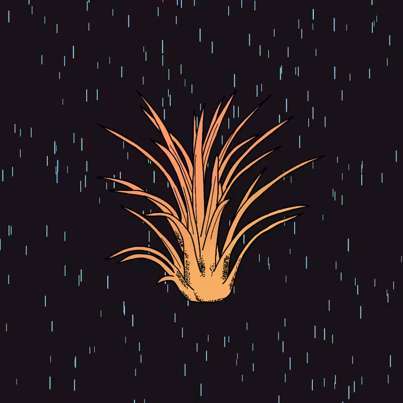 An Extraordinary Plant #6