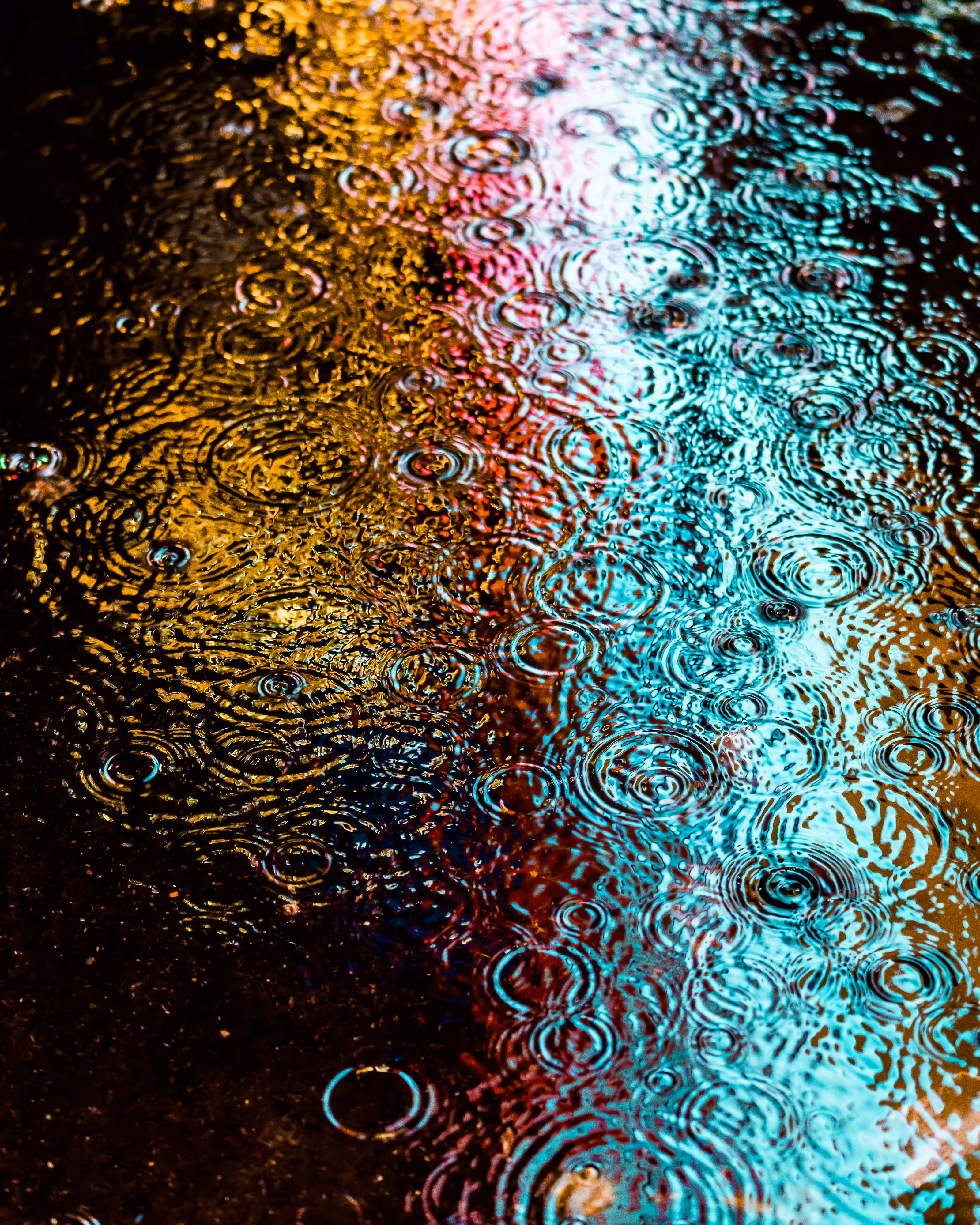 DRIP #324