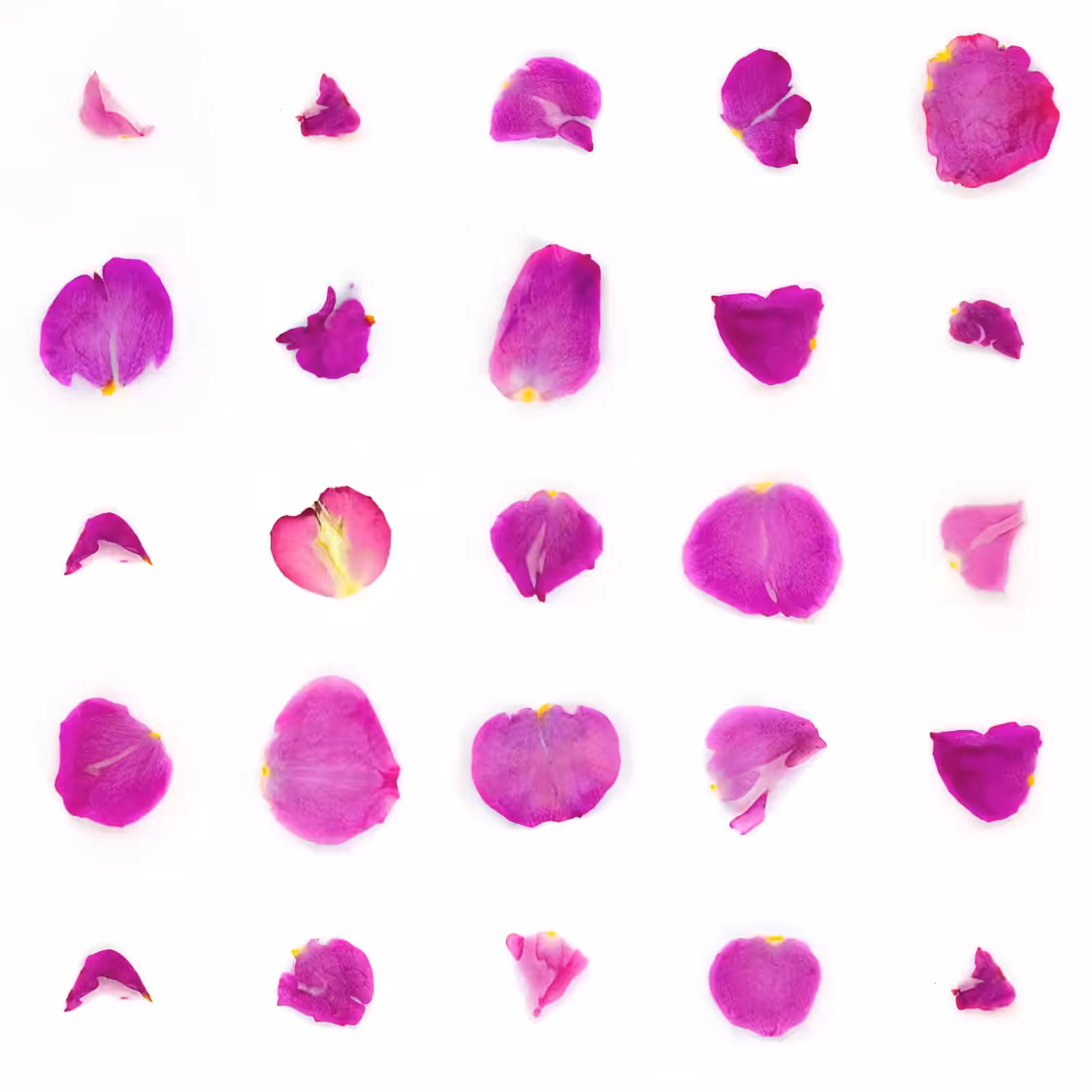Infinite Petals 5x5#3743