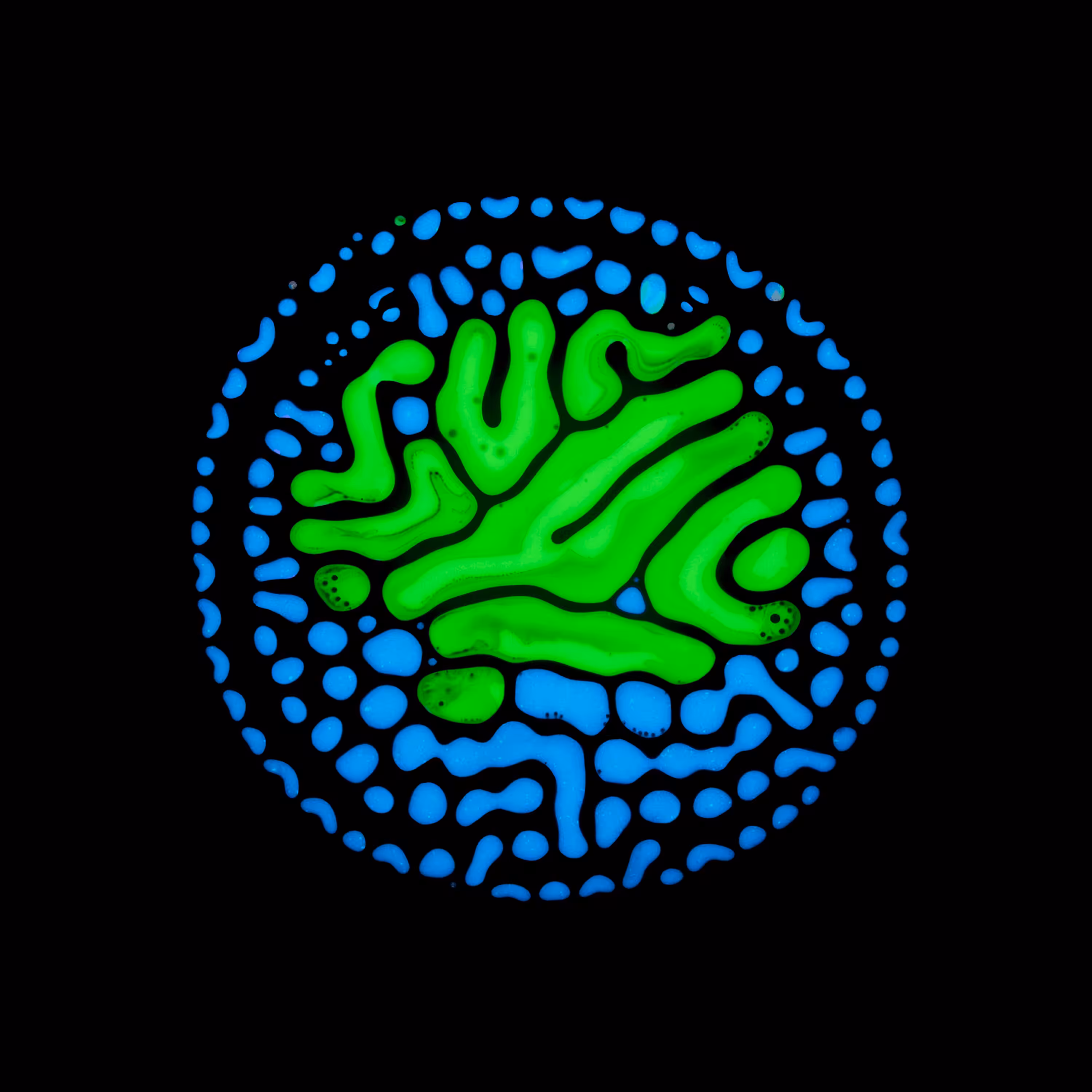 Haematopoiesis #84