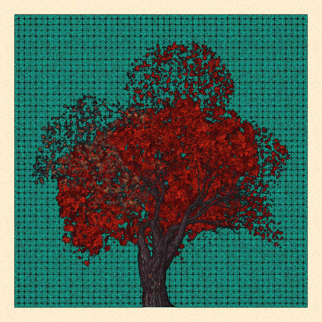 _argania[primaria] #276