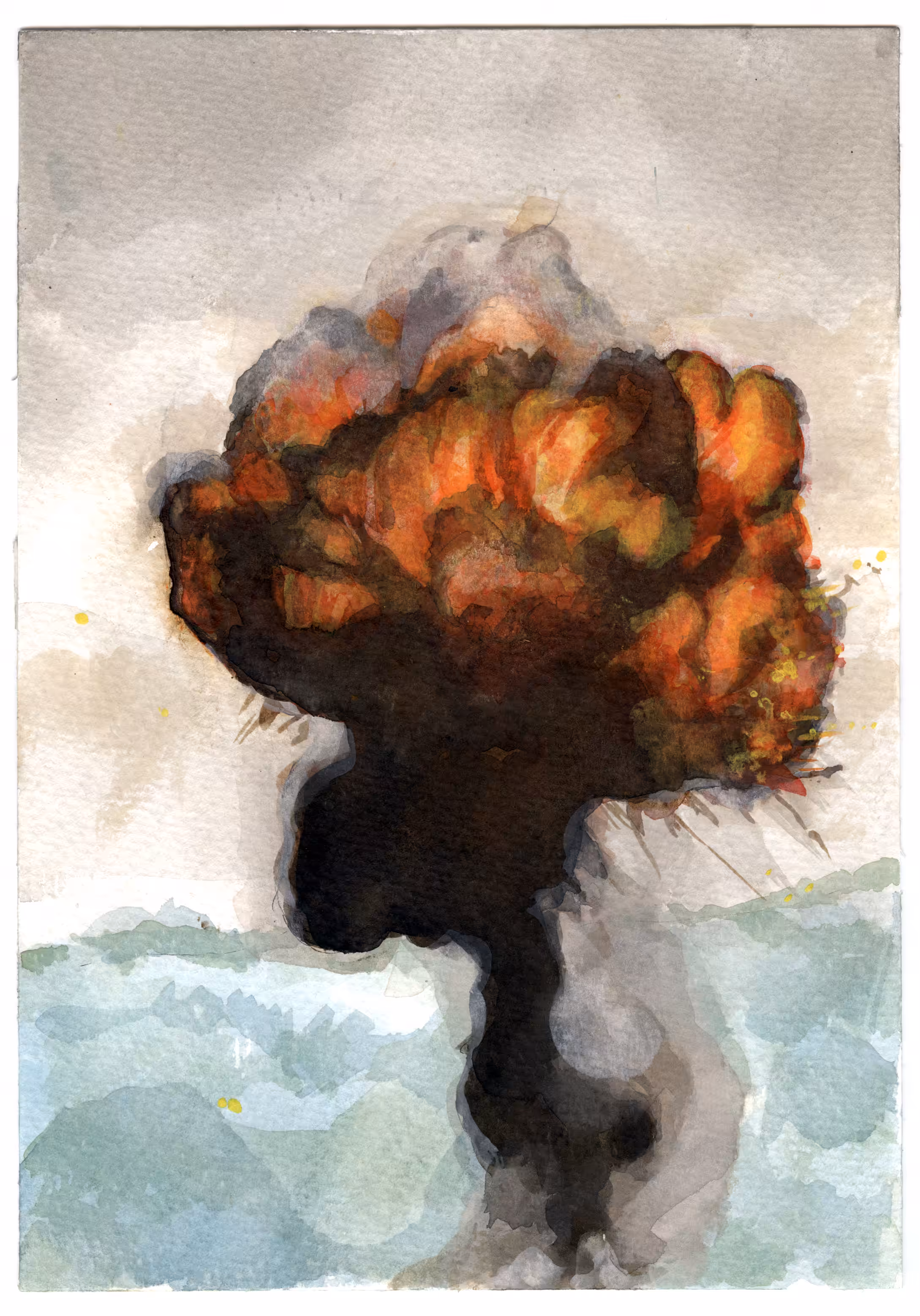 Gaza Oak II- NBT