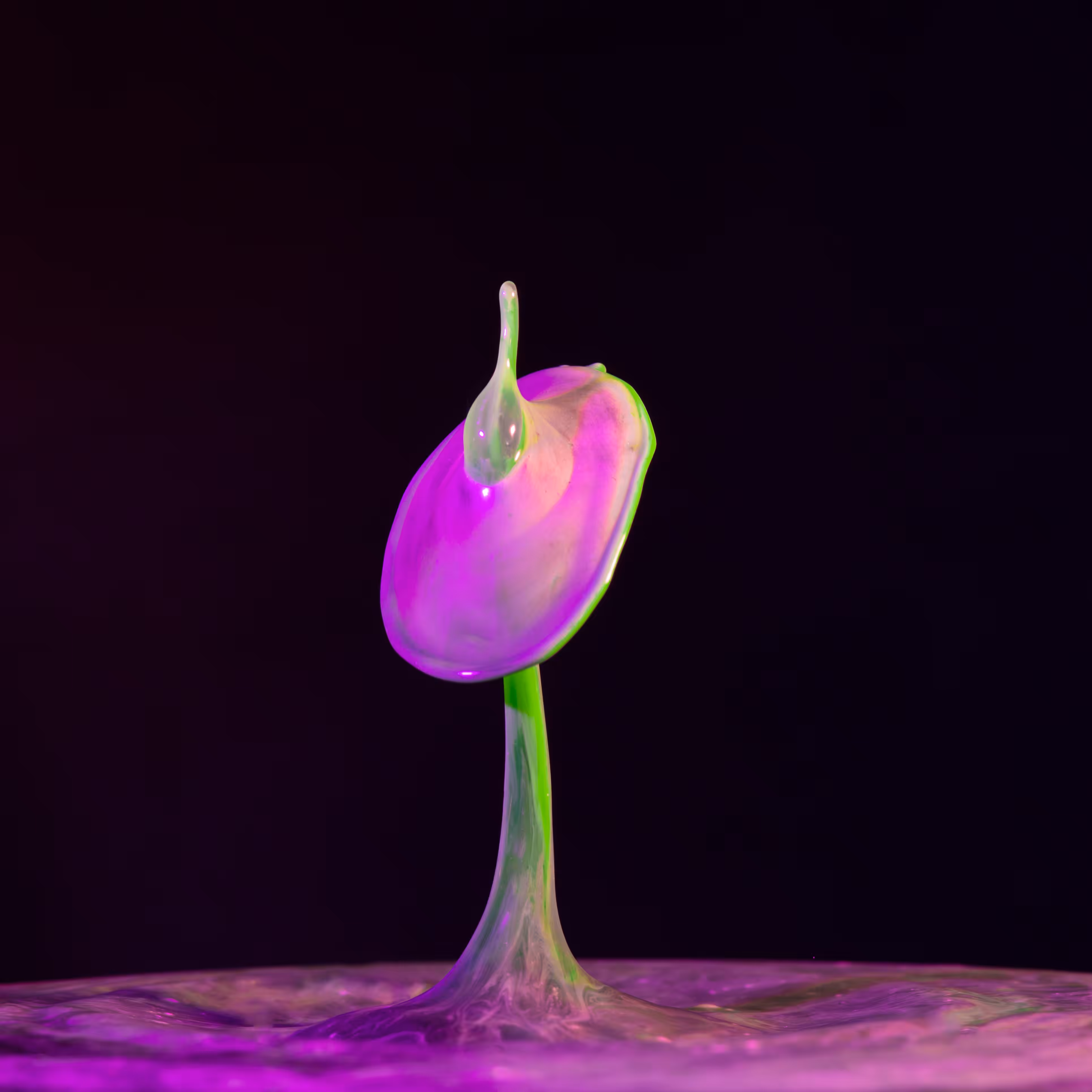 Splash of Colour #19
