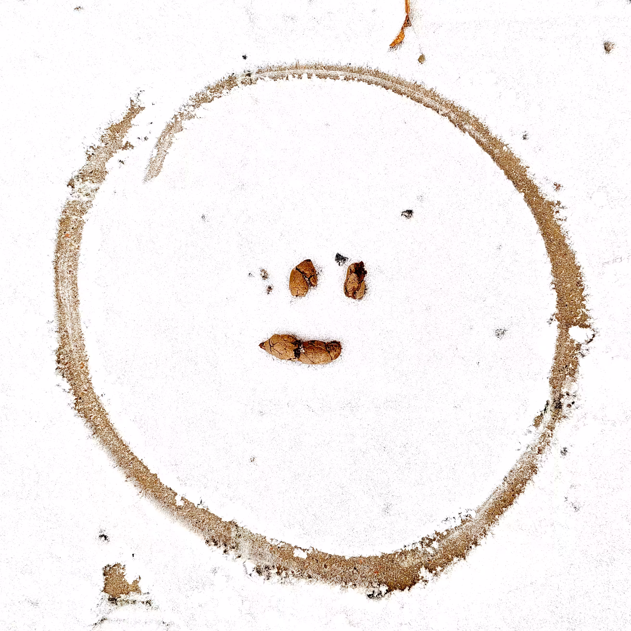Transforming Power of Optimism