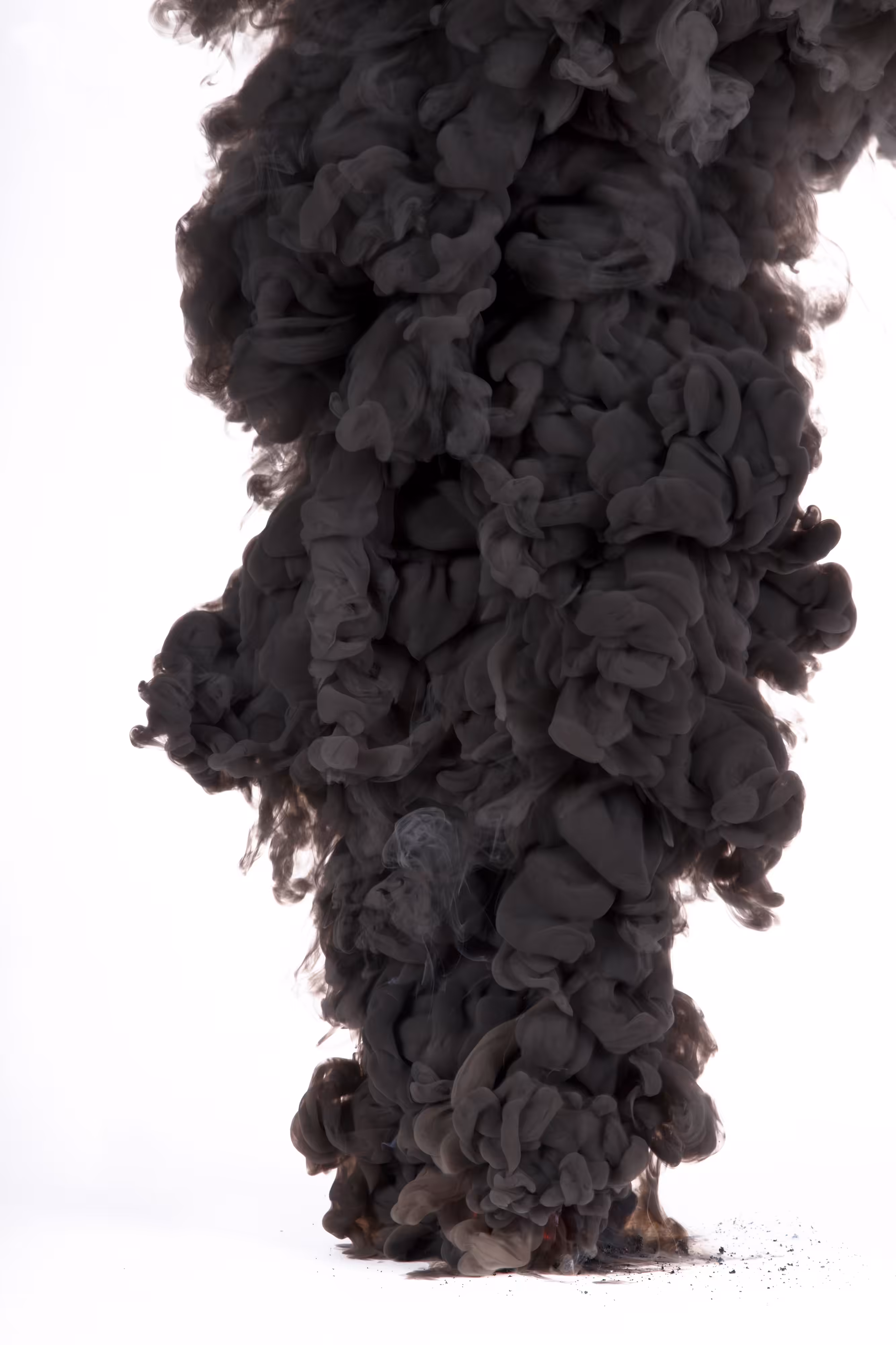Controlled Burn III