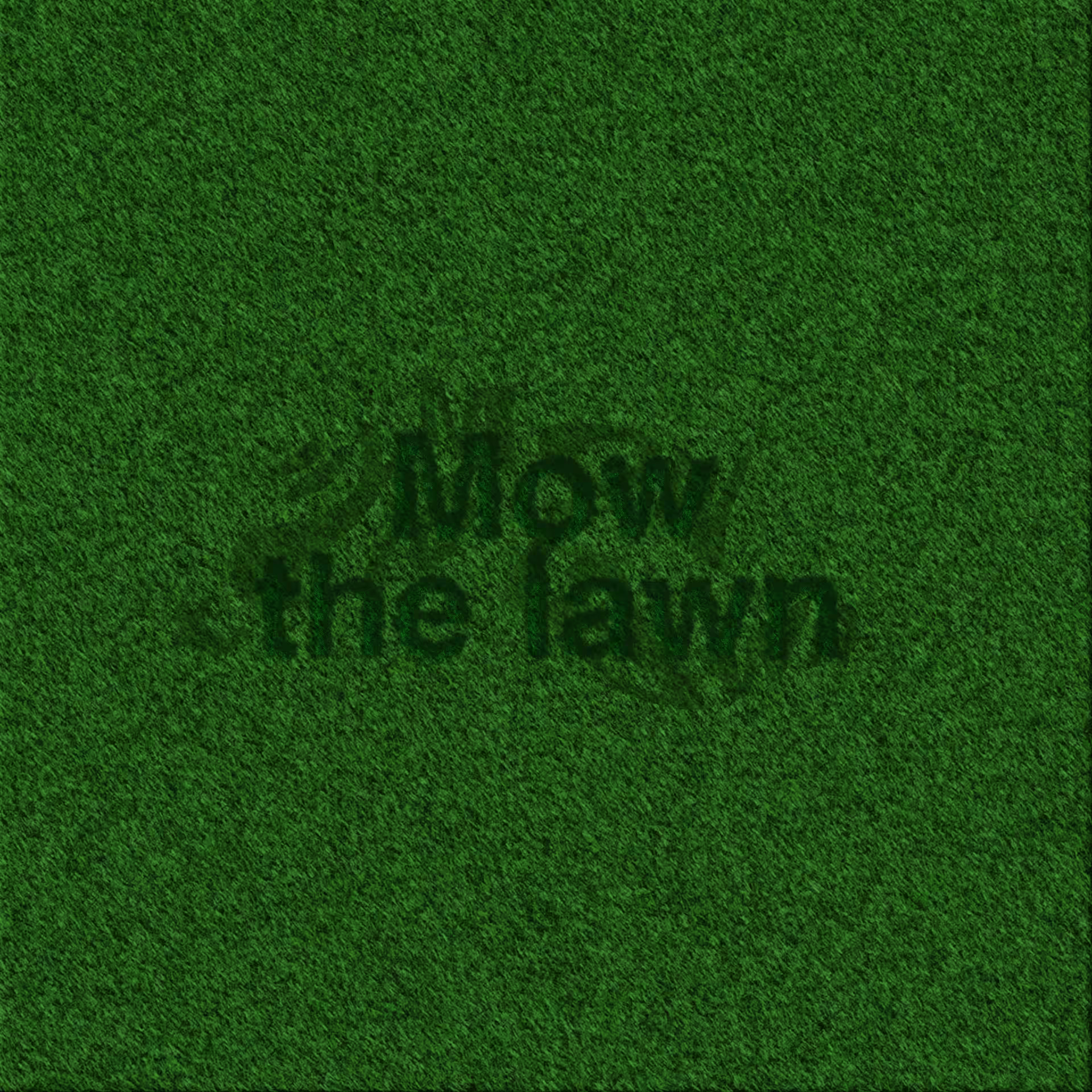 Mow the lawn