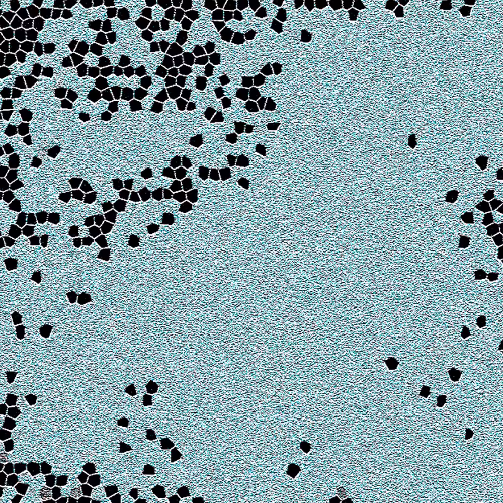 piece of 'O rchid. mo(u)lting' 0005