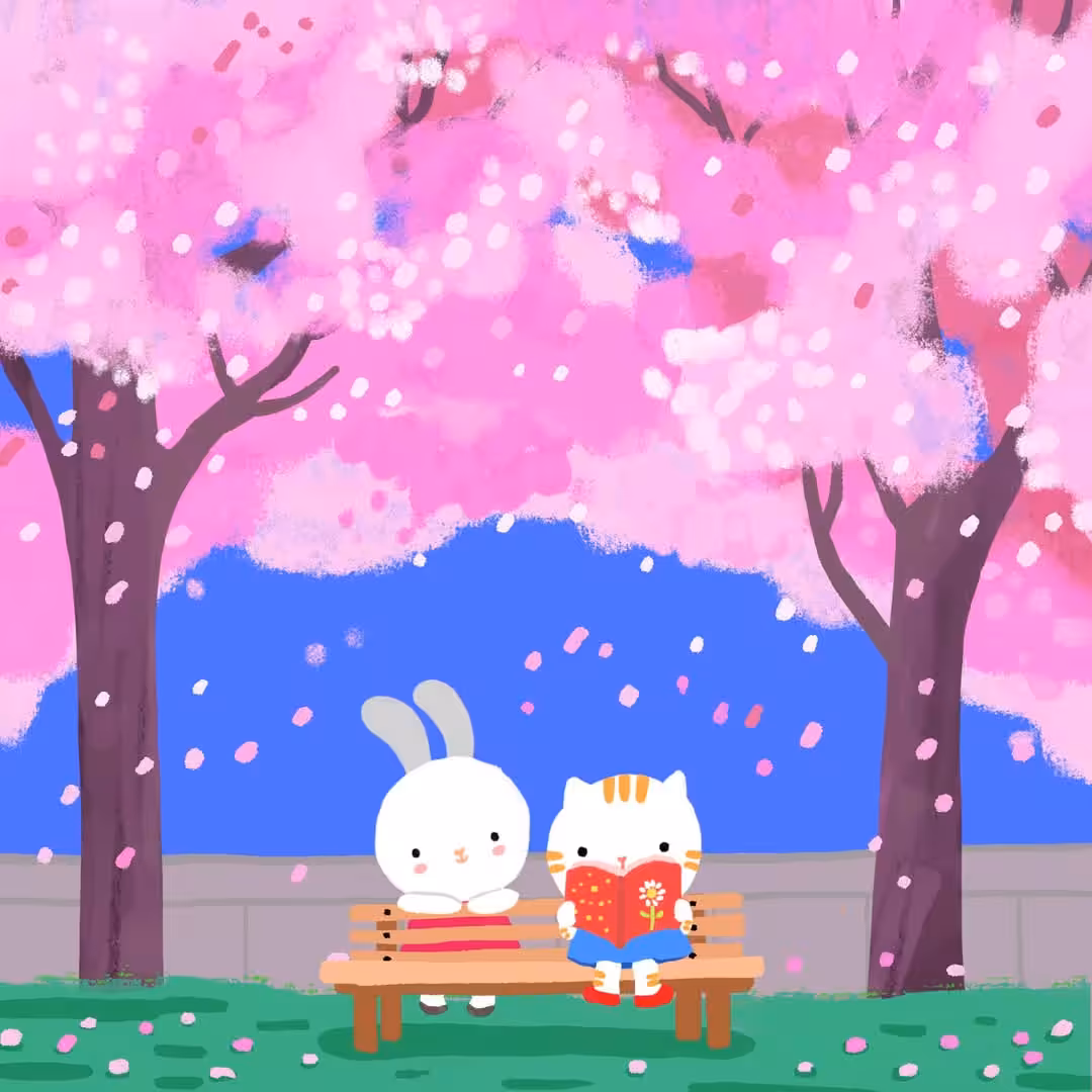 Cherry blossom