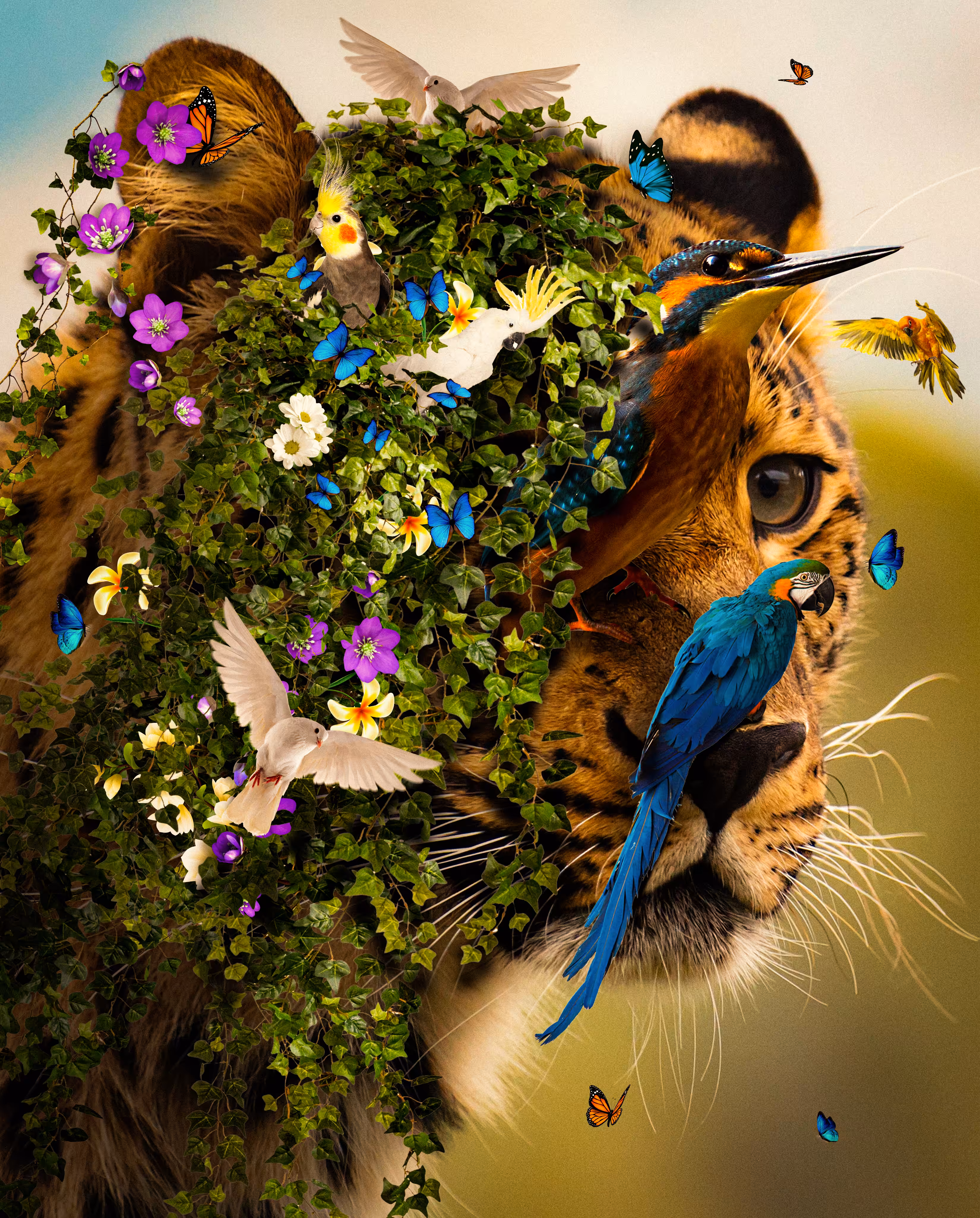 Cheetah world