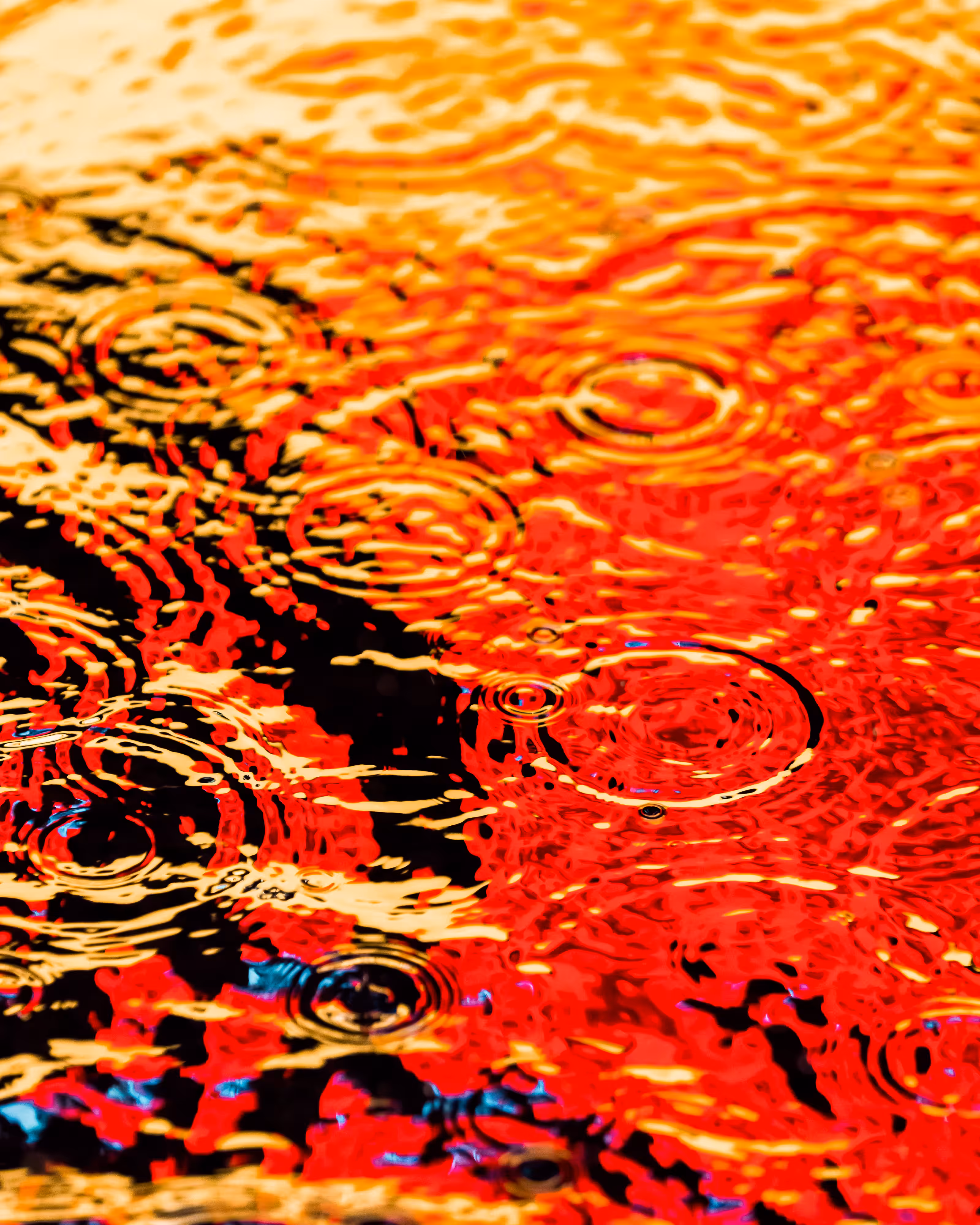 DRIP DROP: DRIP #713