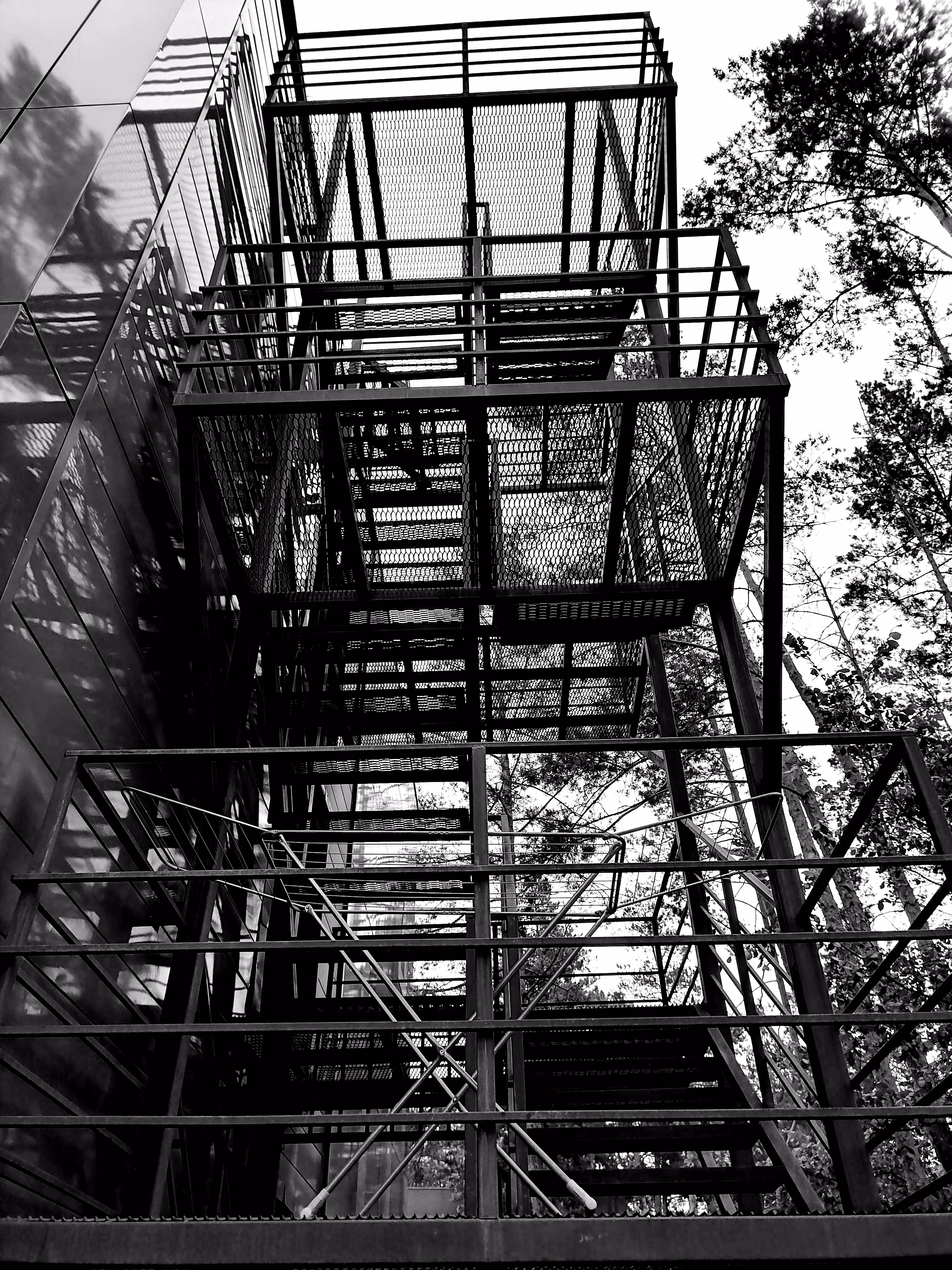 Iron ladder