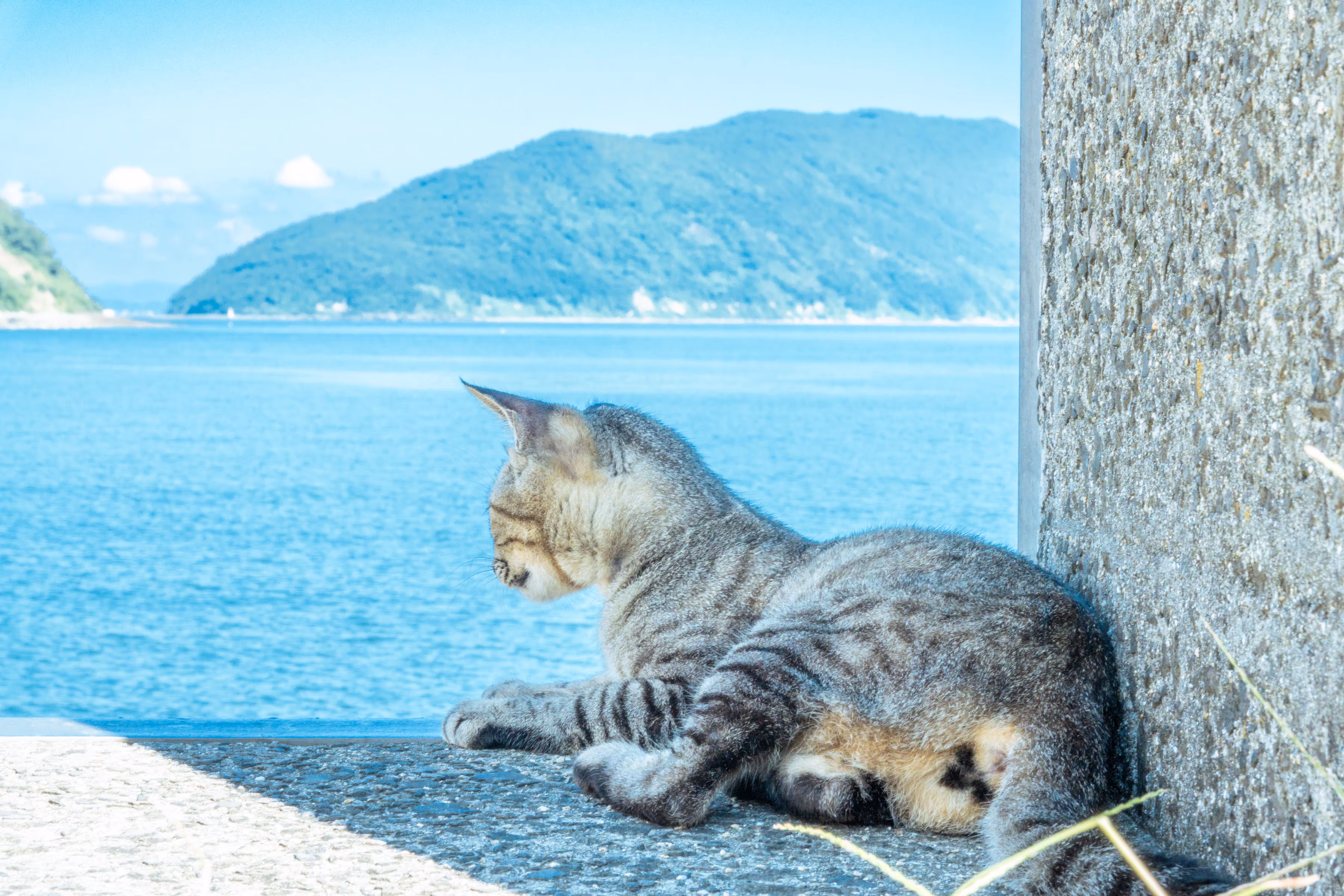 Living with Blue