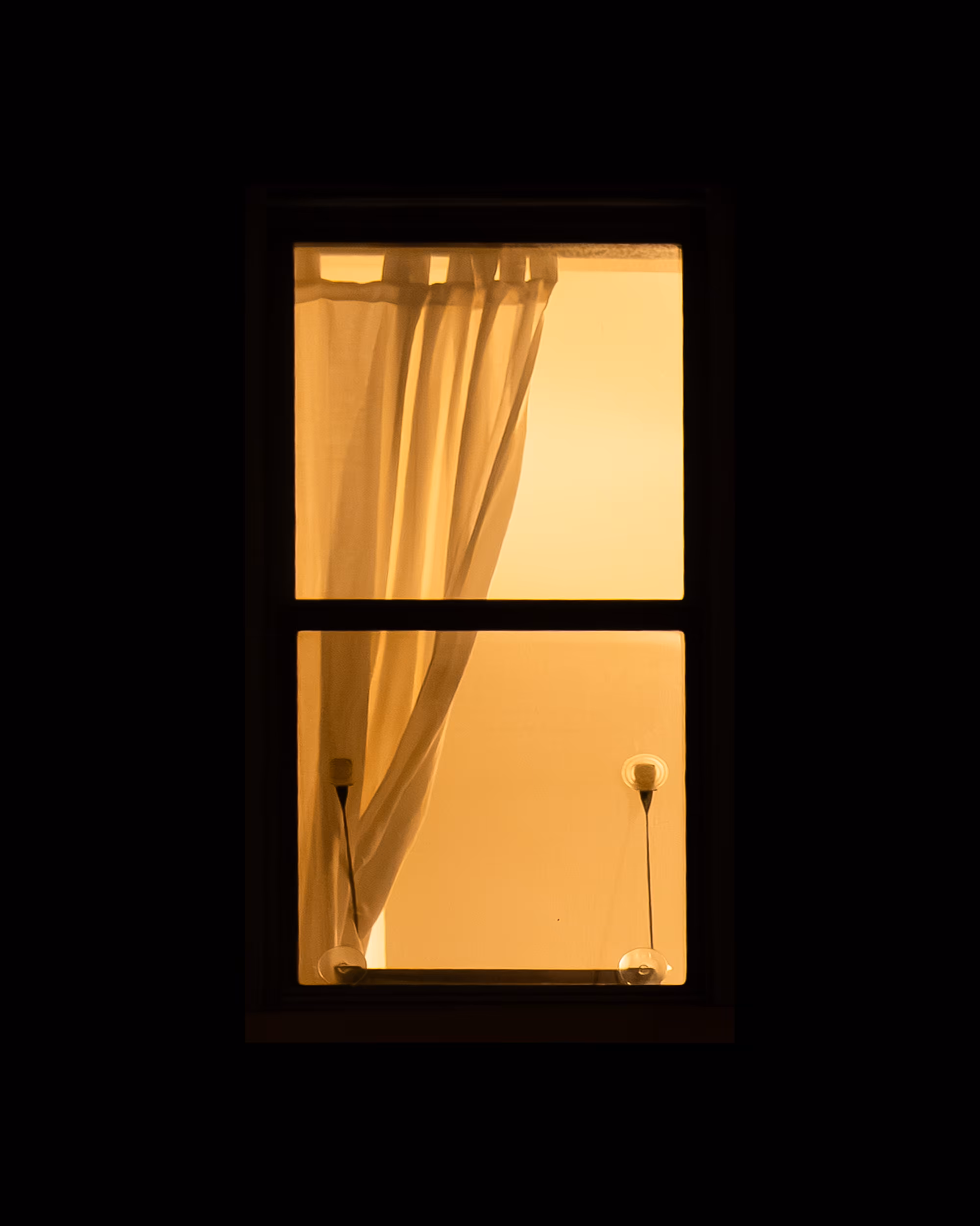 WINDOWS // NYC: WINDOW 664