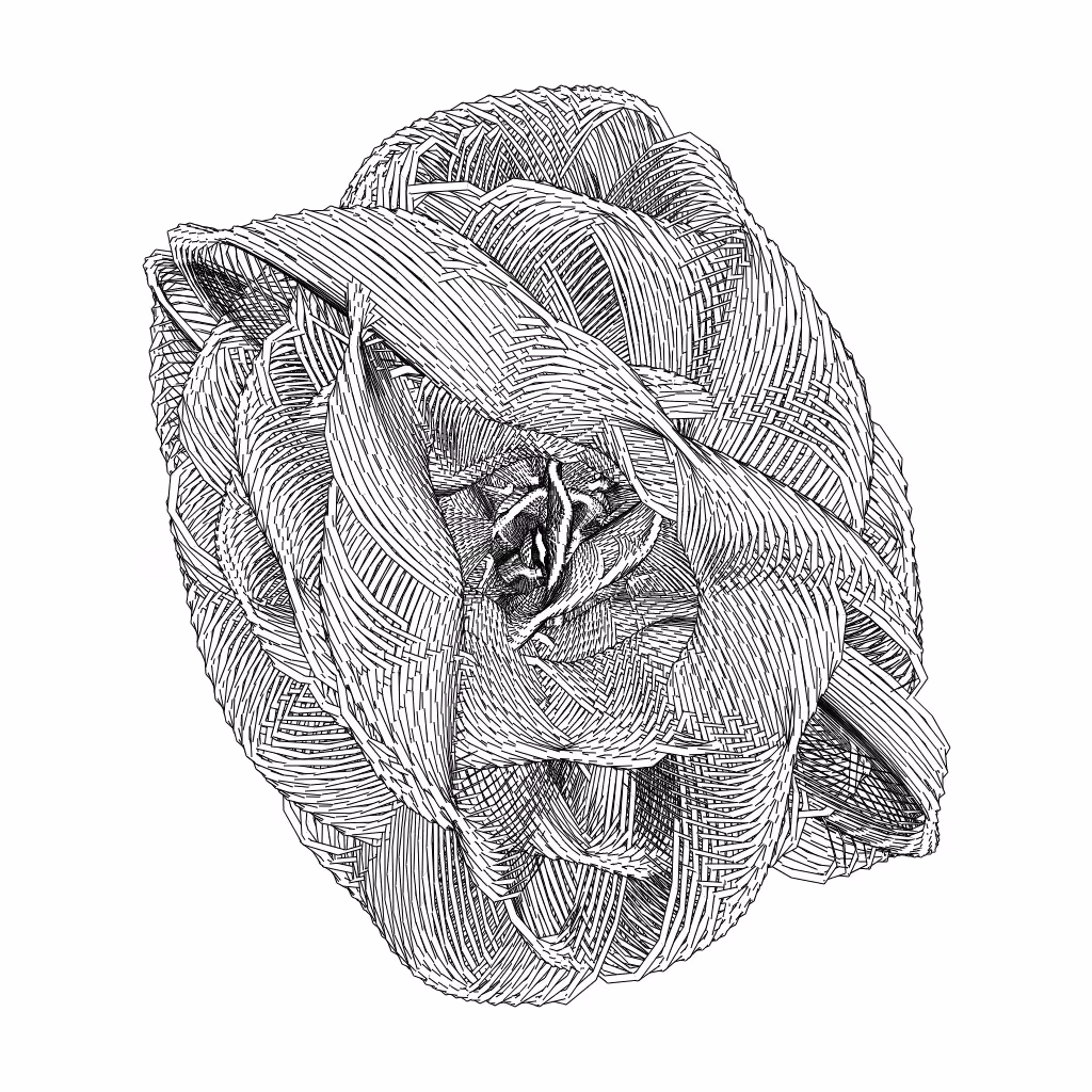 LL21 Entangled (3) #407