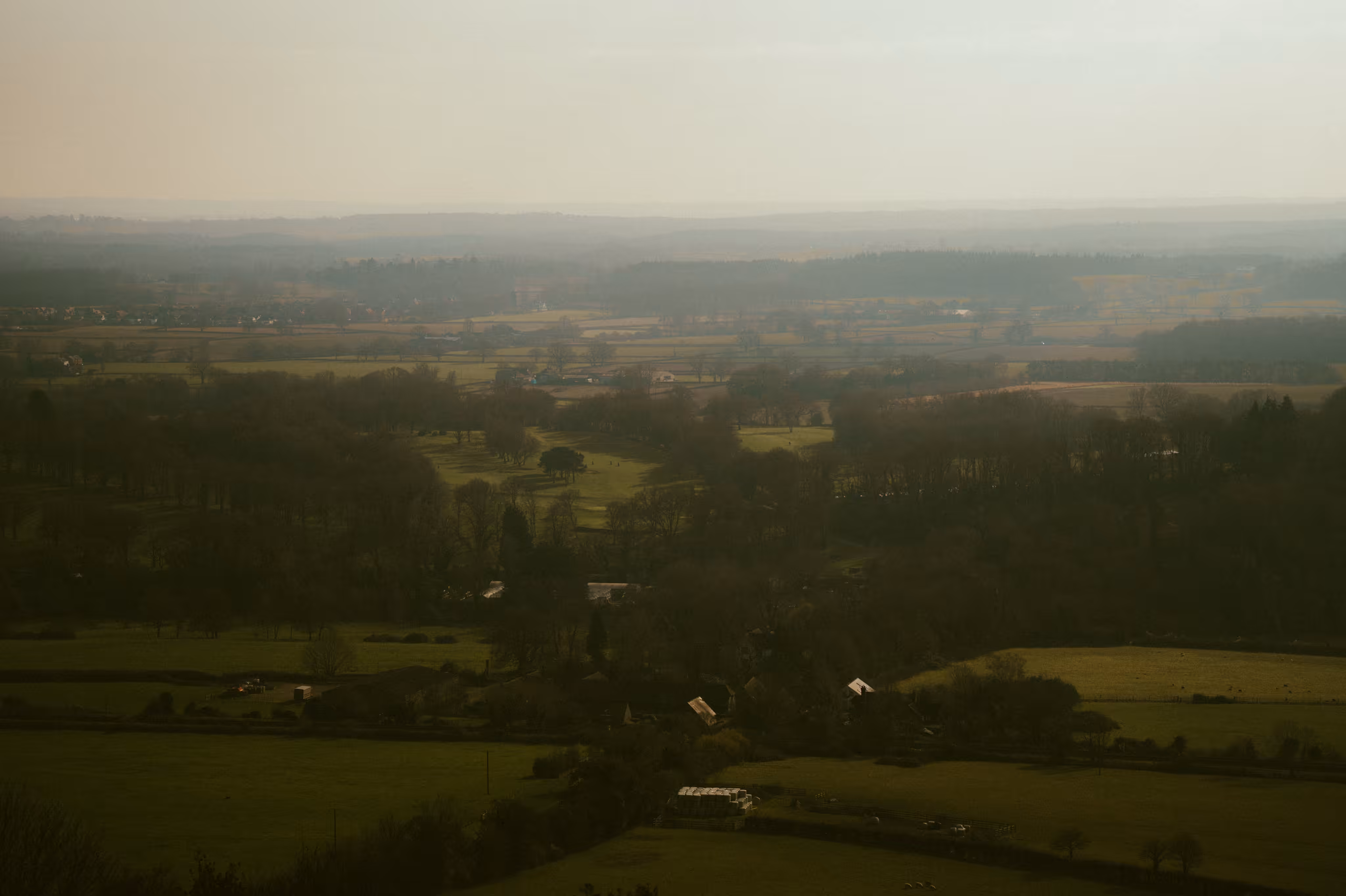Sounds of the countryside 