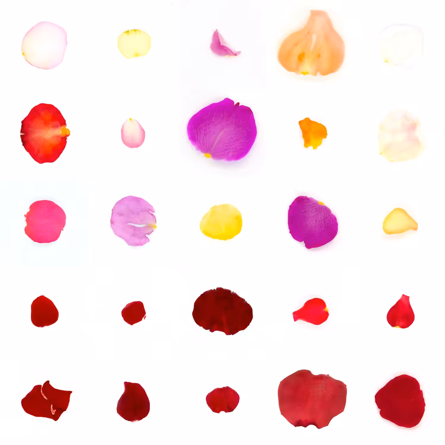 Infinite Petals 5x5#1484