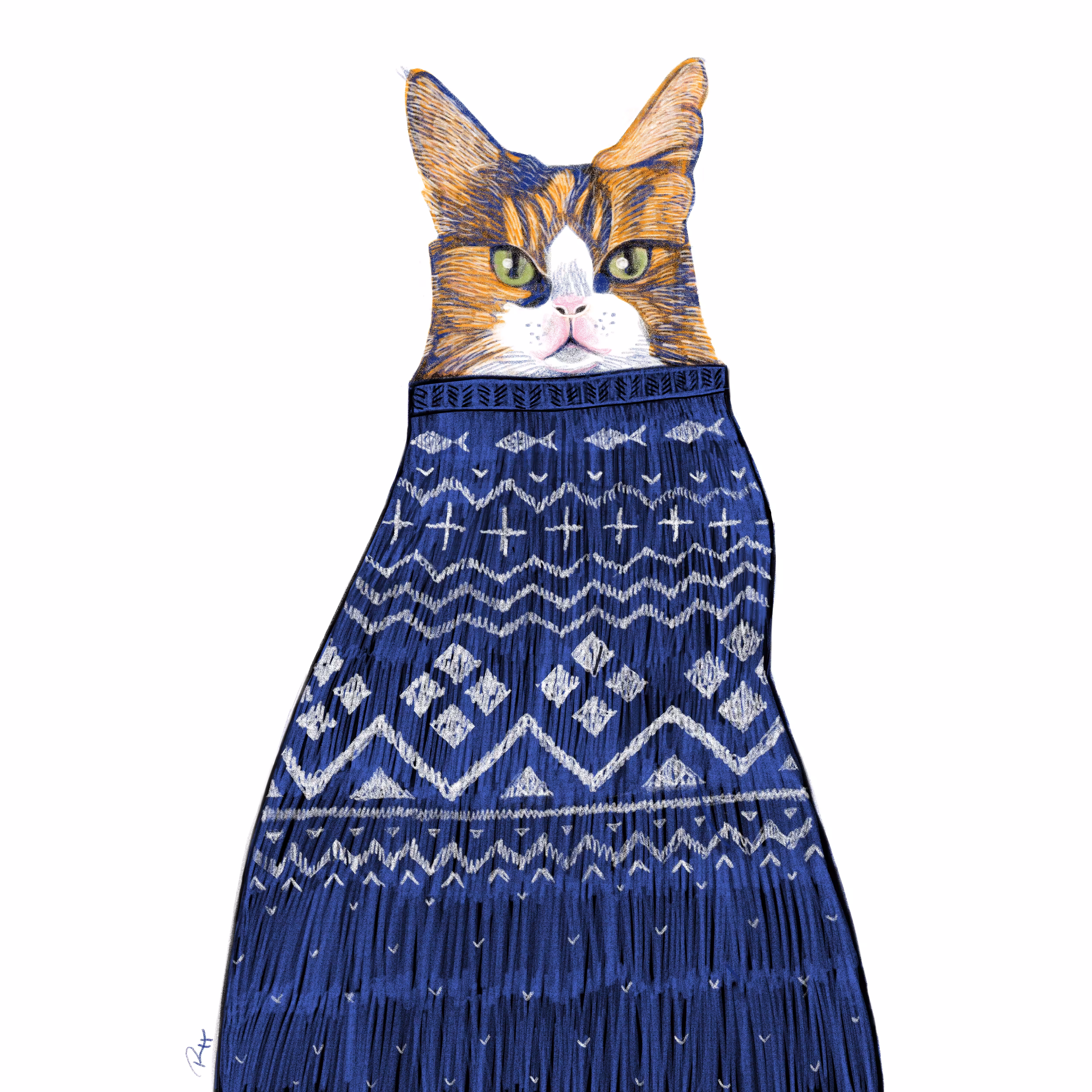 Winter cat