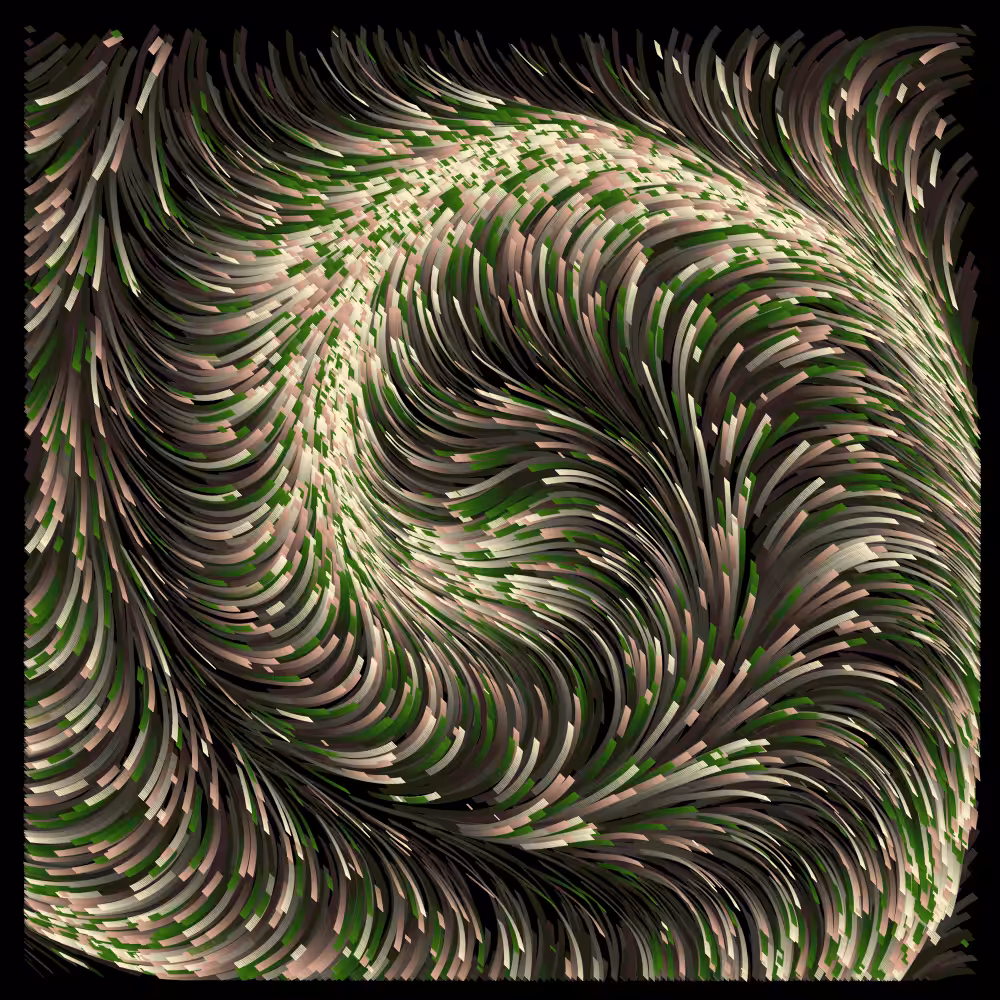 Yaff #254