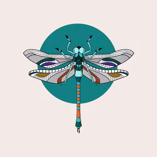 Anisoptera Tetradic: Celadon Green