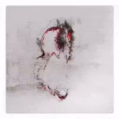 SOFT_STRESS / VIDEO ART ALBUM: #9