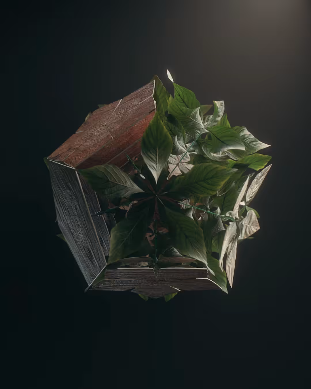 Dodeca-dendron