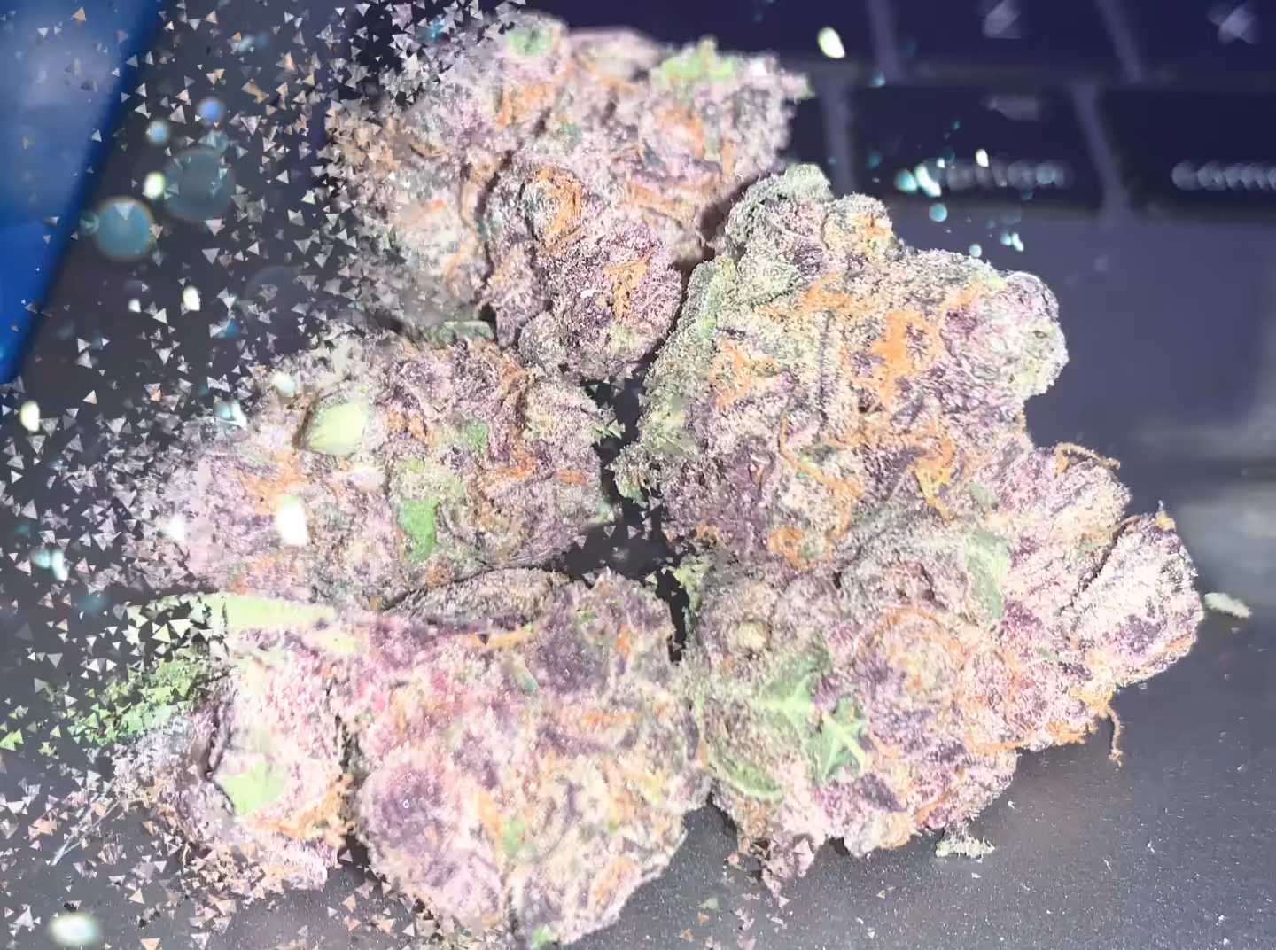 CRYPTO CHRONIC - PURP