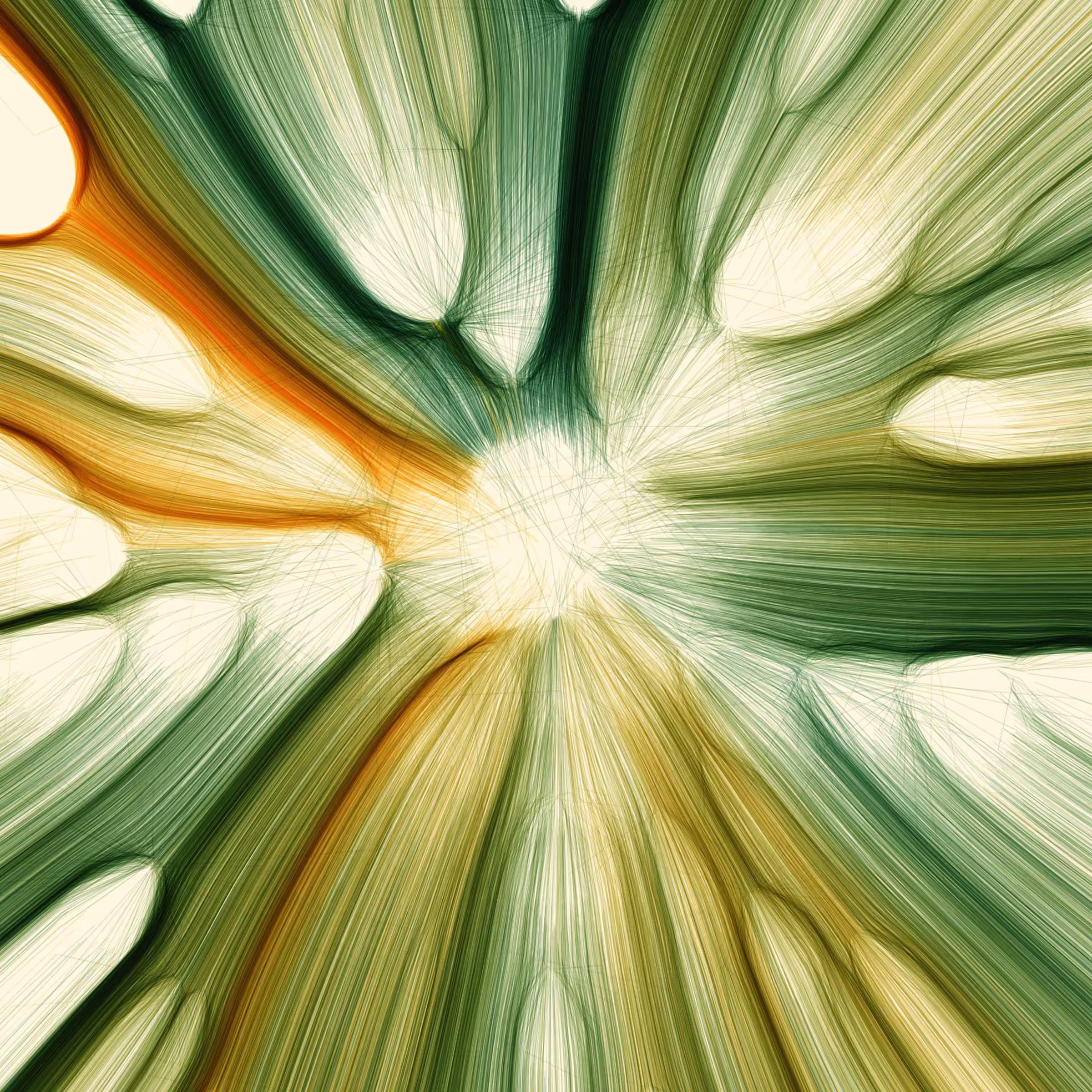 Gravity 12 #424