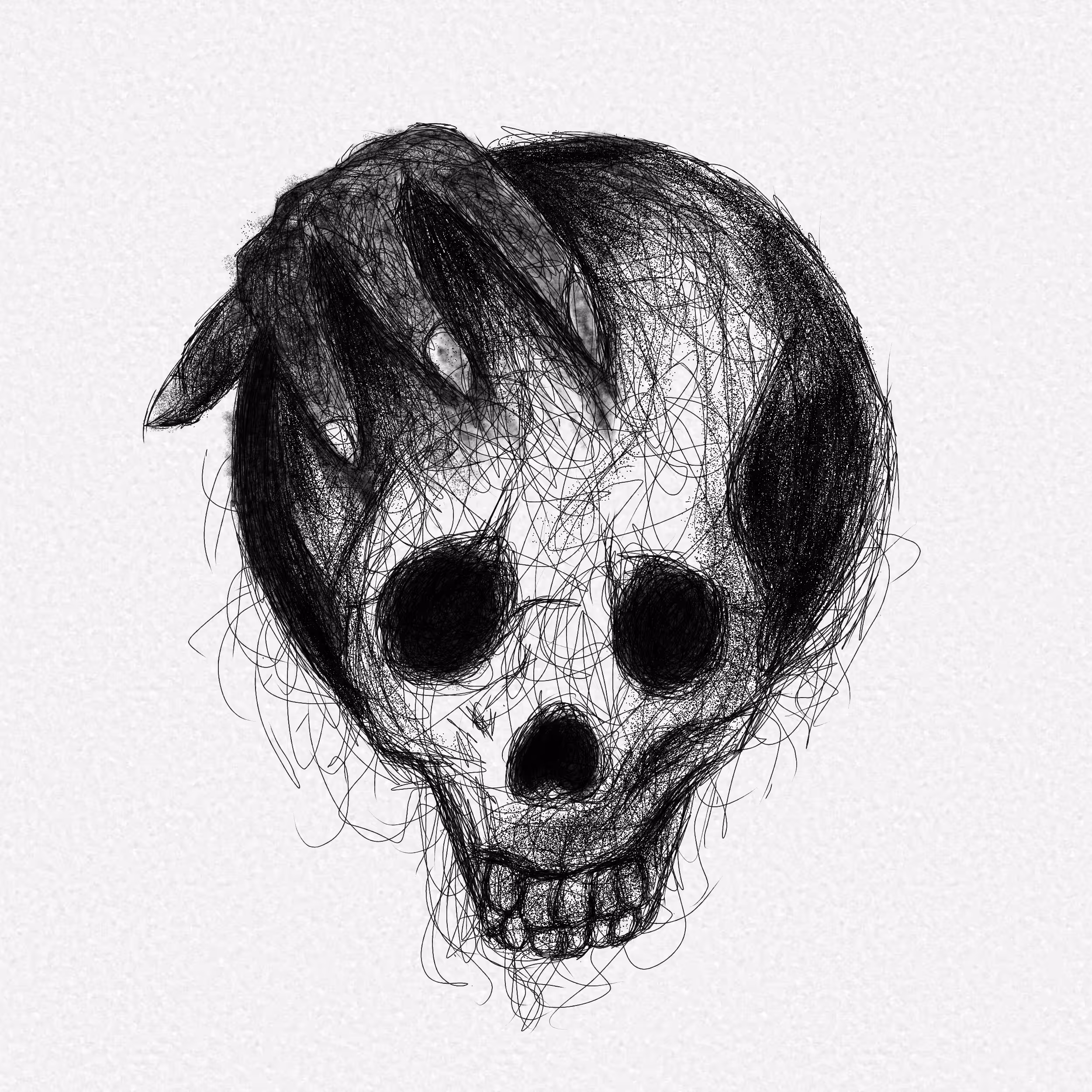 Anony Skull