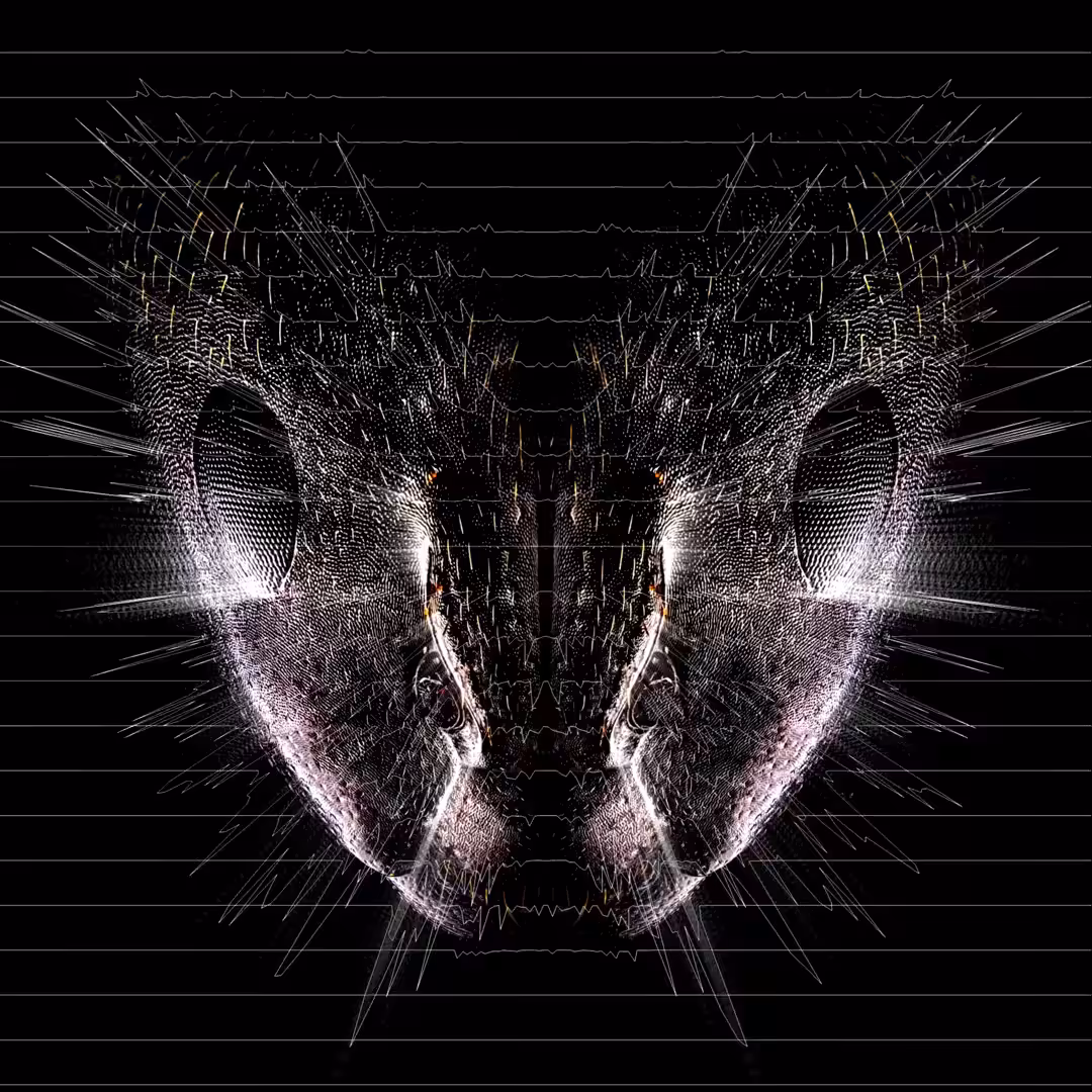 “Galactic Alien Insect Warrior”