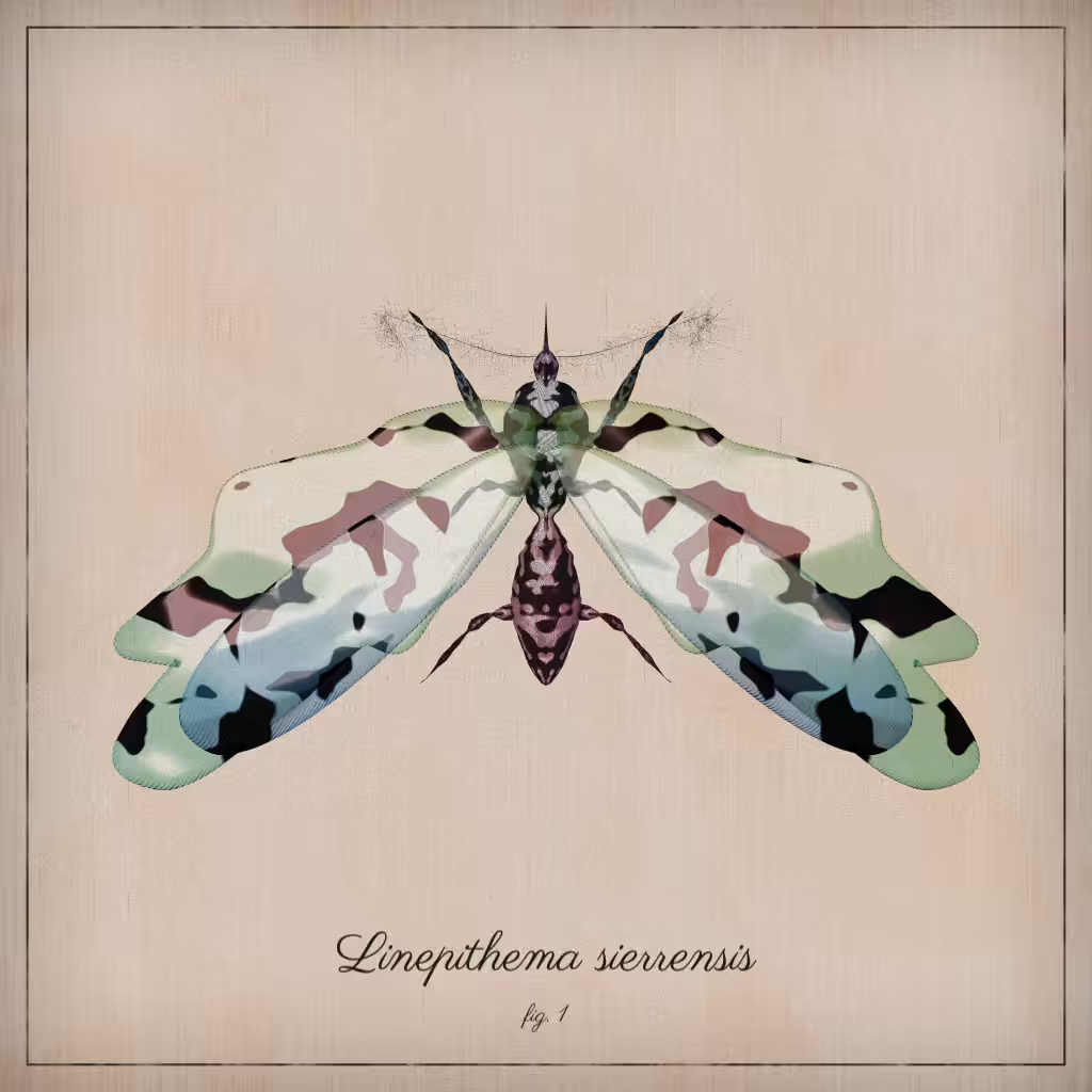 ProcGen Entomology #323