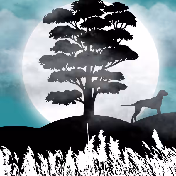 Moon and Life #22