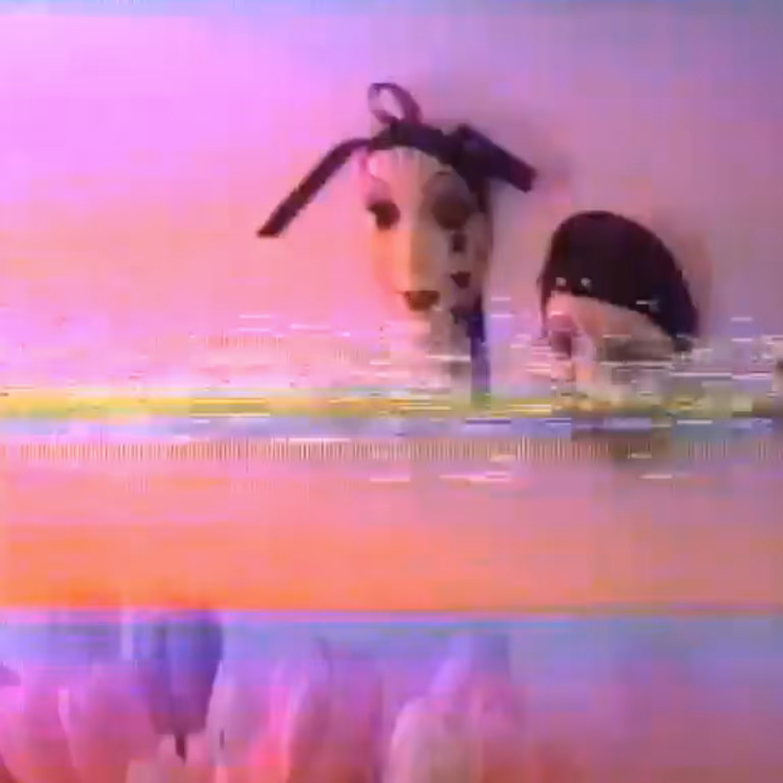 harlequin dreams | 2024 RYDER | inversion mix
