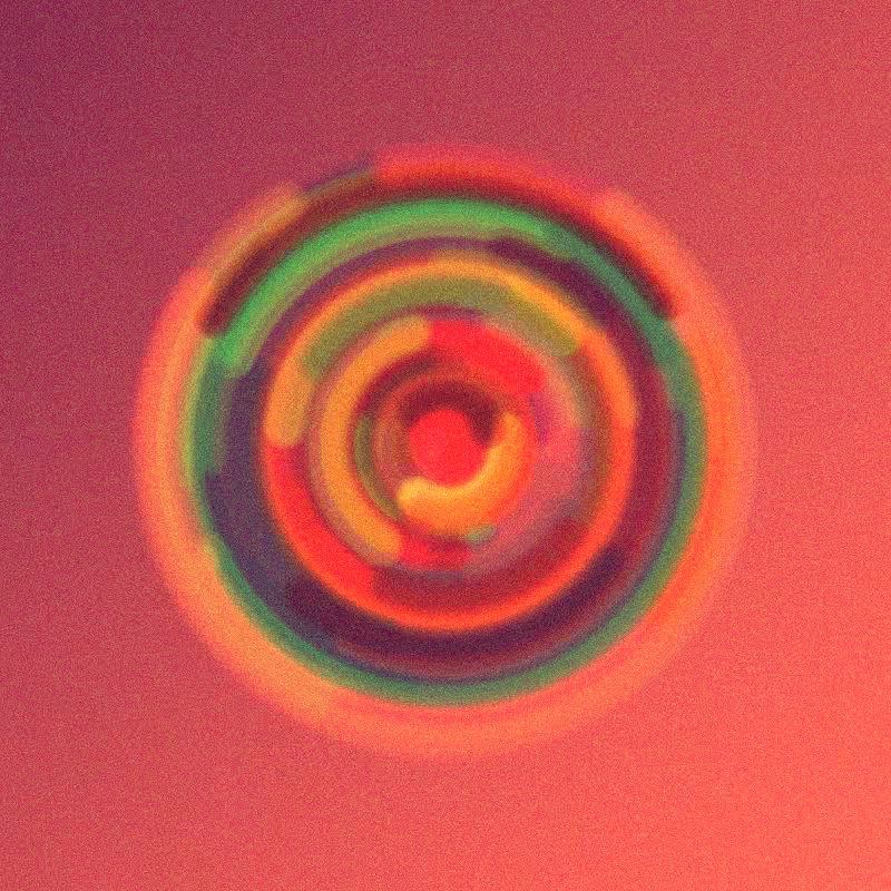 Wisp #169