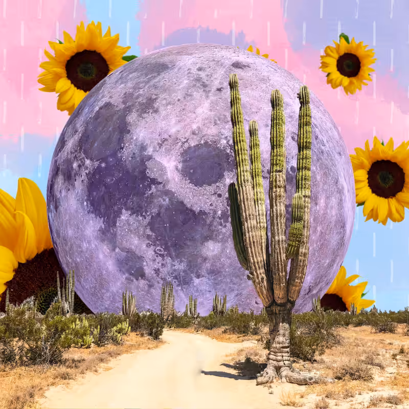 Pink Moon #32