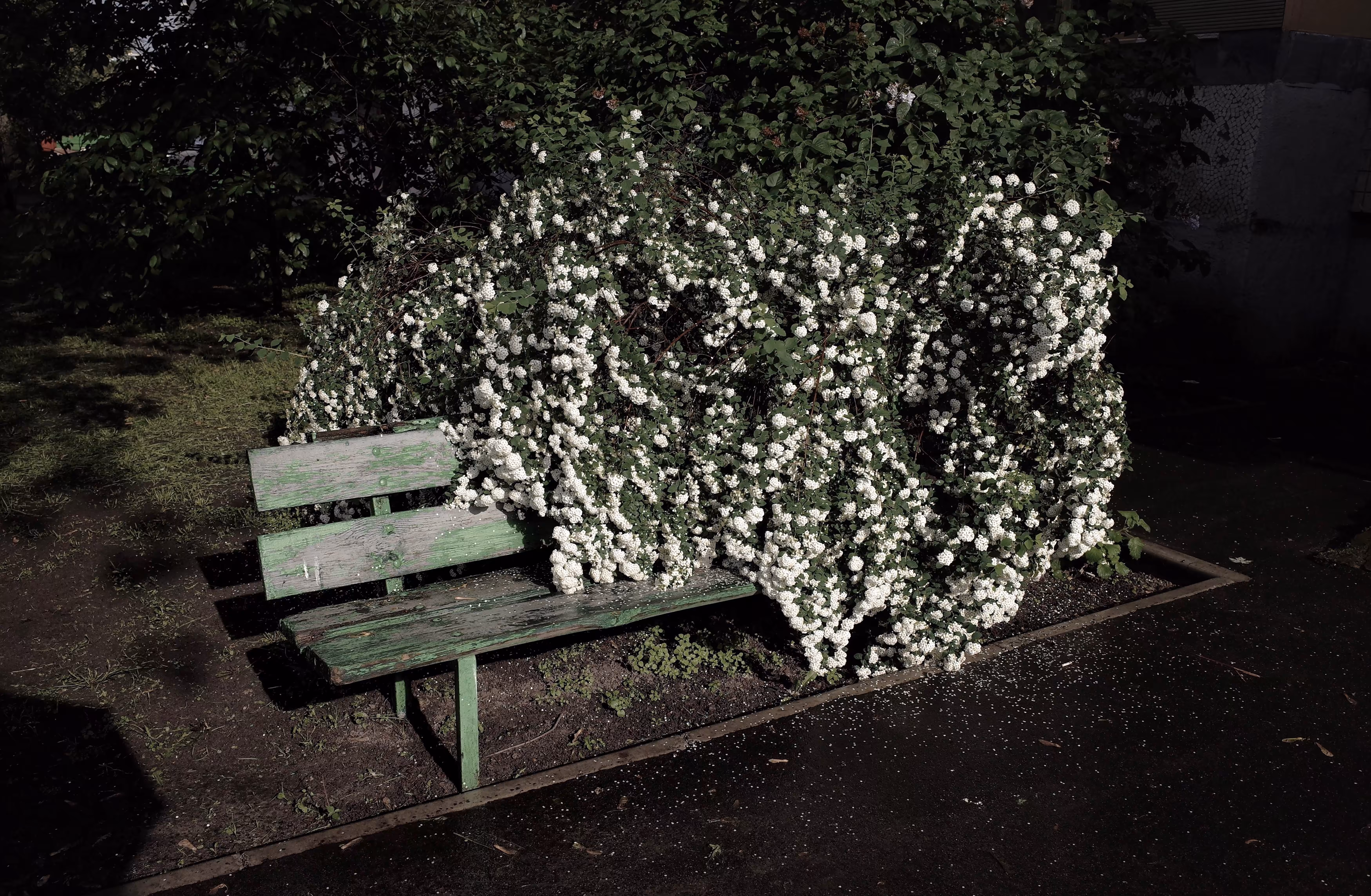 Life Takes Over